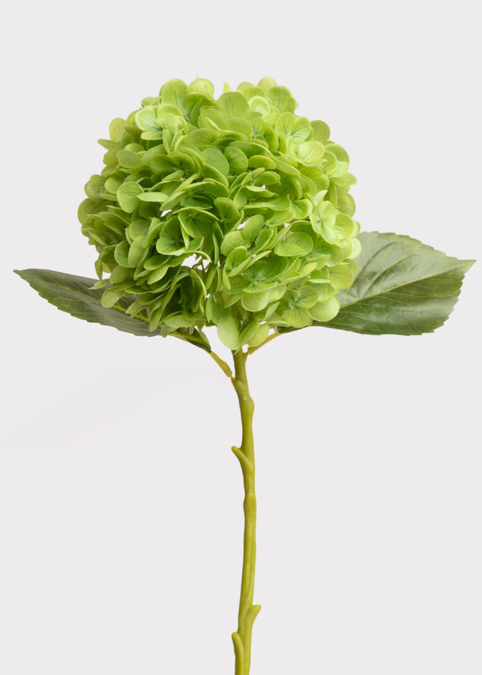 Green Fake Hydrangea