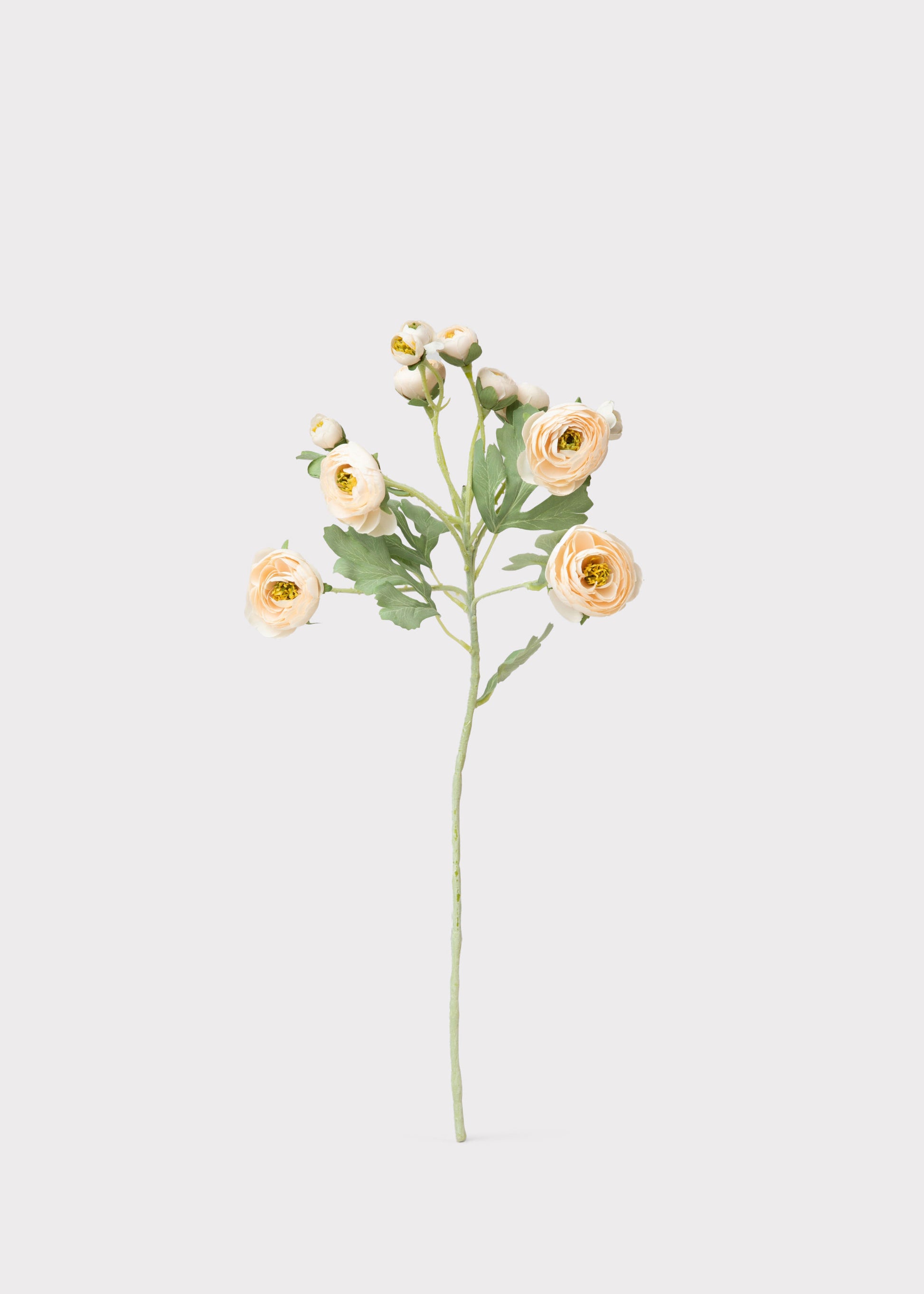Artificial Blooming Ranunculus Flowers in Blush