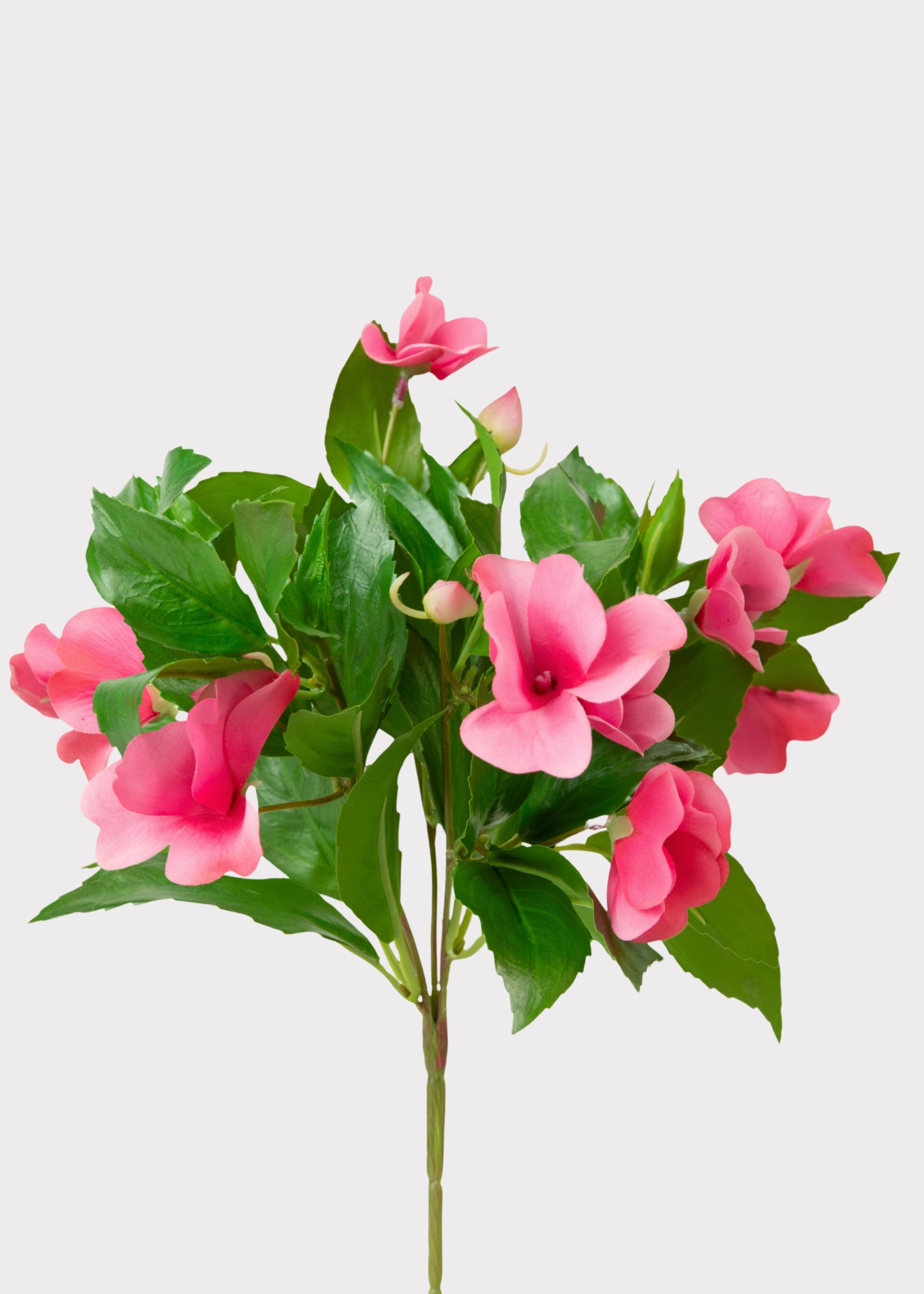 UV Treated Impatiens Bush 