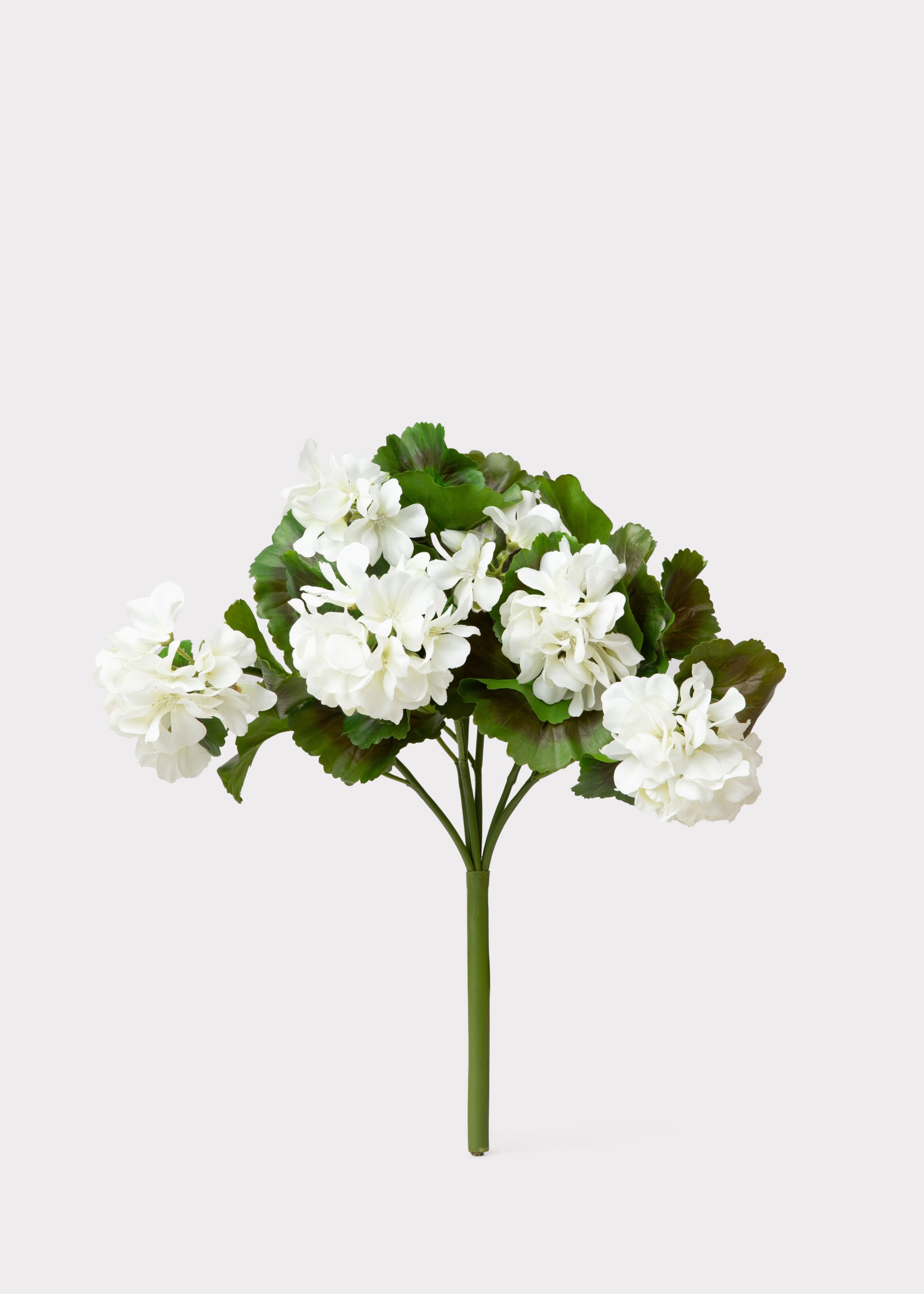 White Faux Geranium