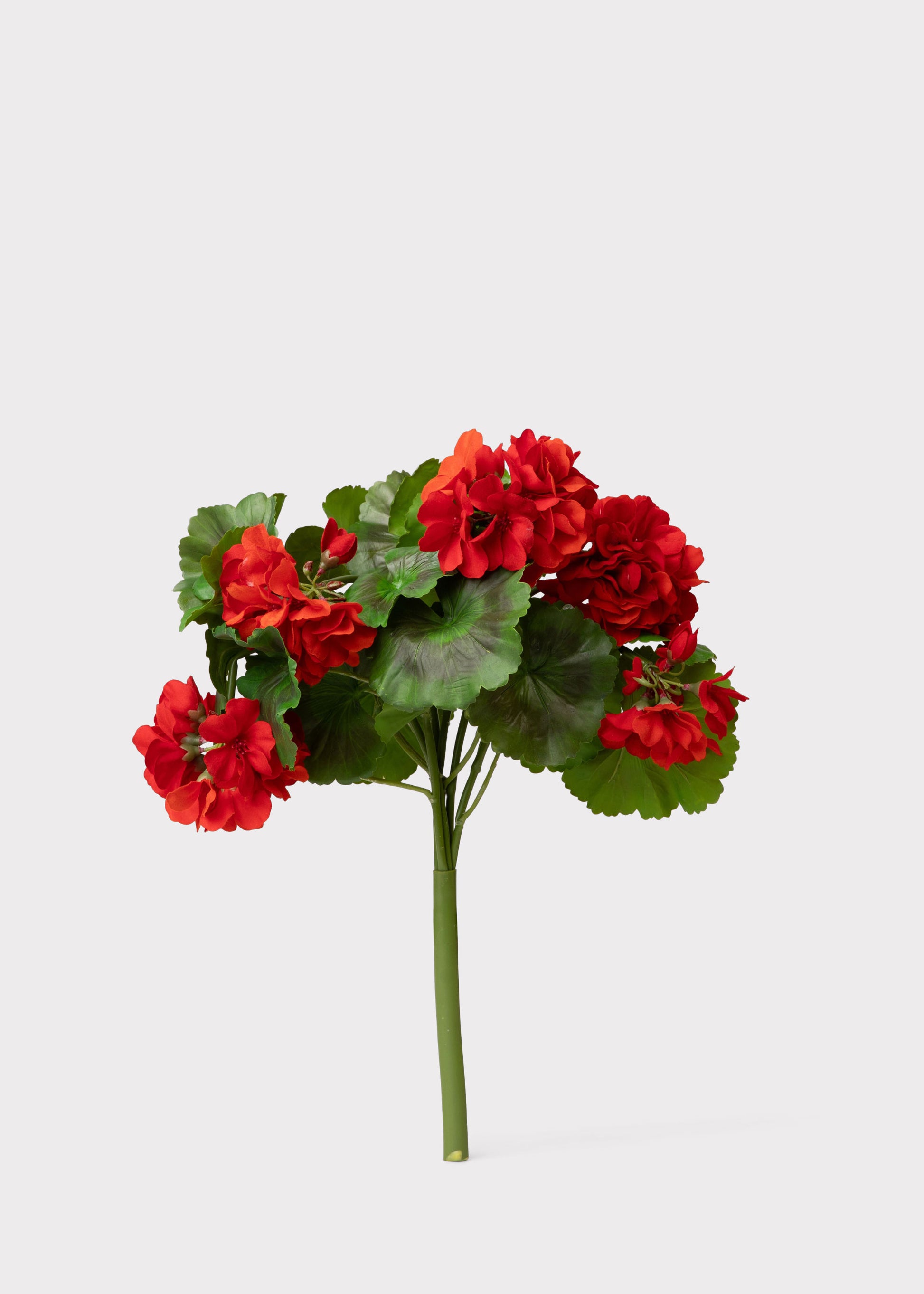 Red Fake Geranium Flowers