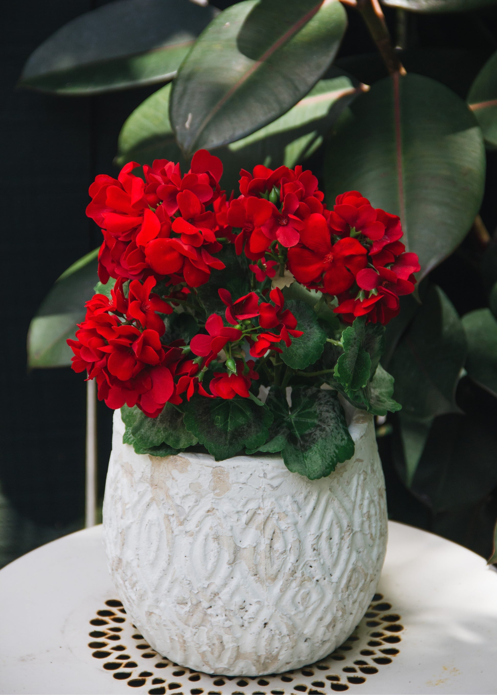 artificial red geranium flowers
