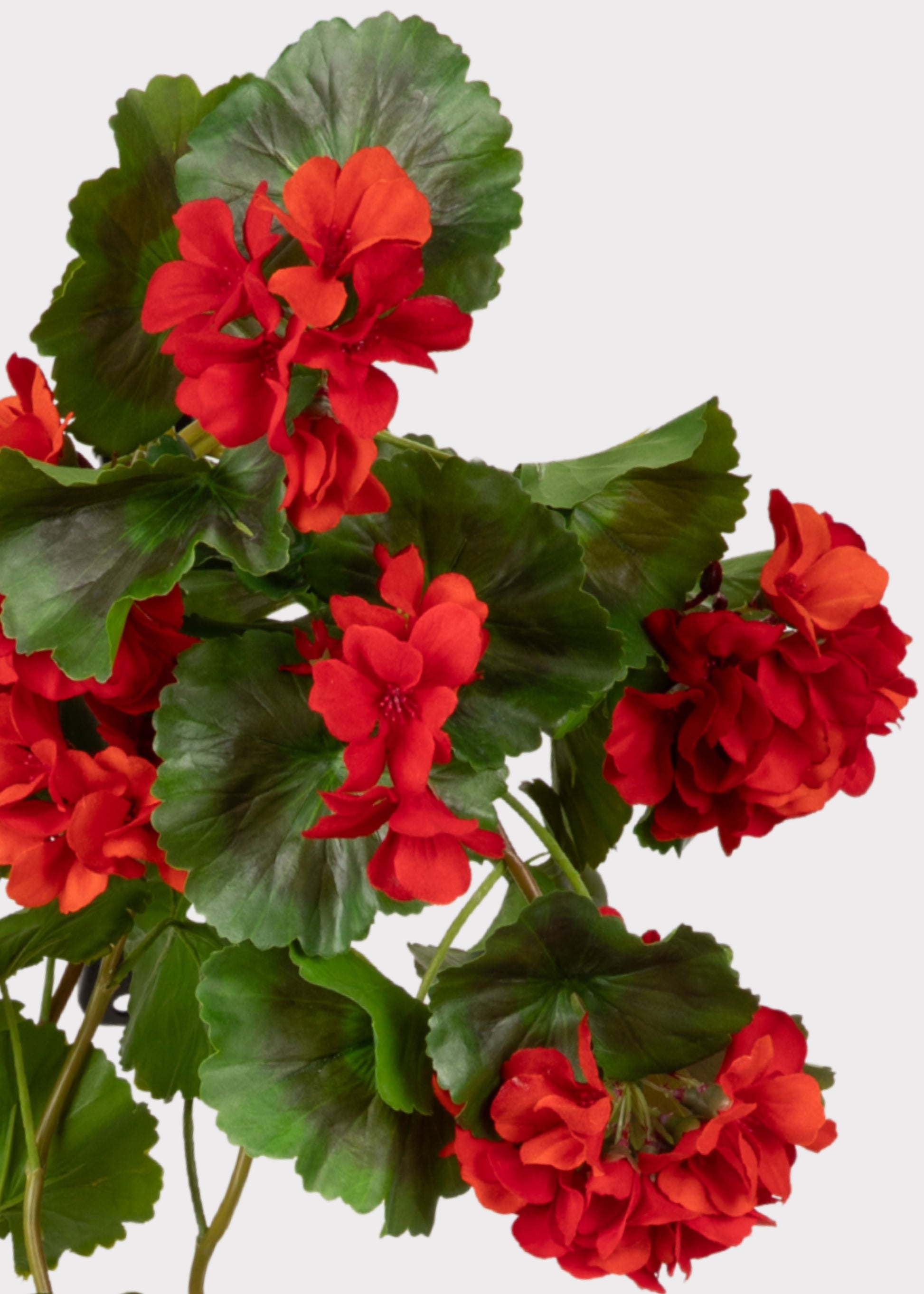 artificial red geraniums