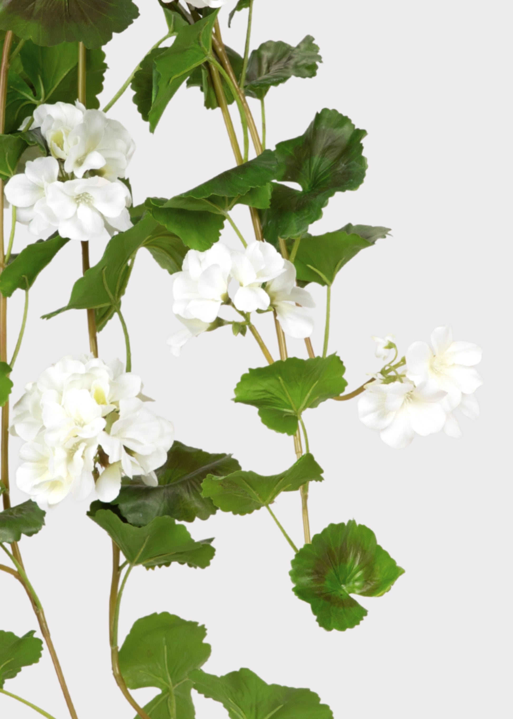 Fake White Hanging Geraniums