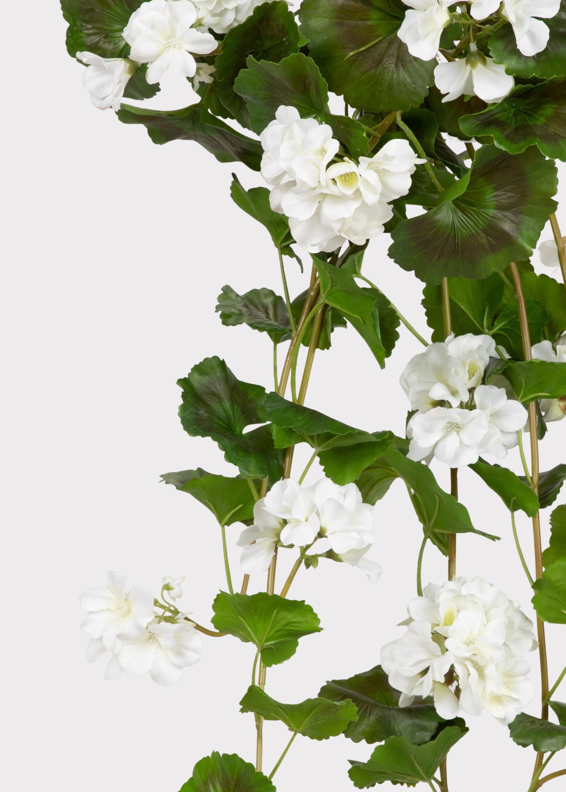 Fake White Hanging Geraniums