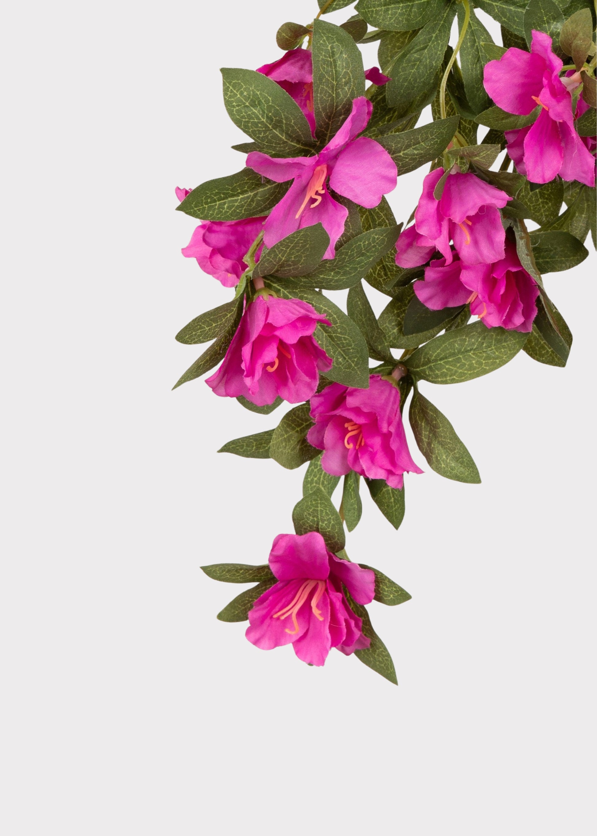 Fake Azalea Plant
