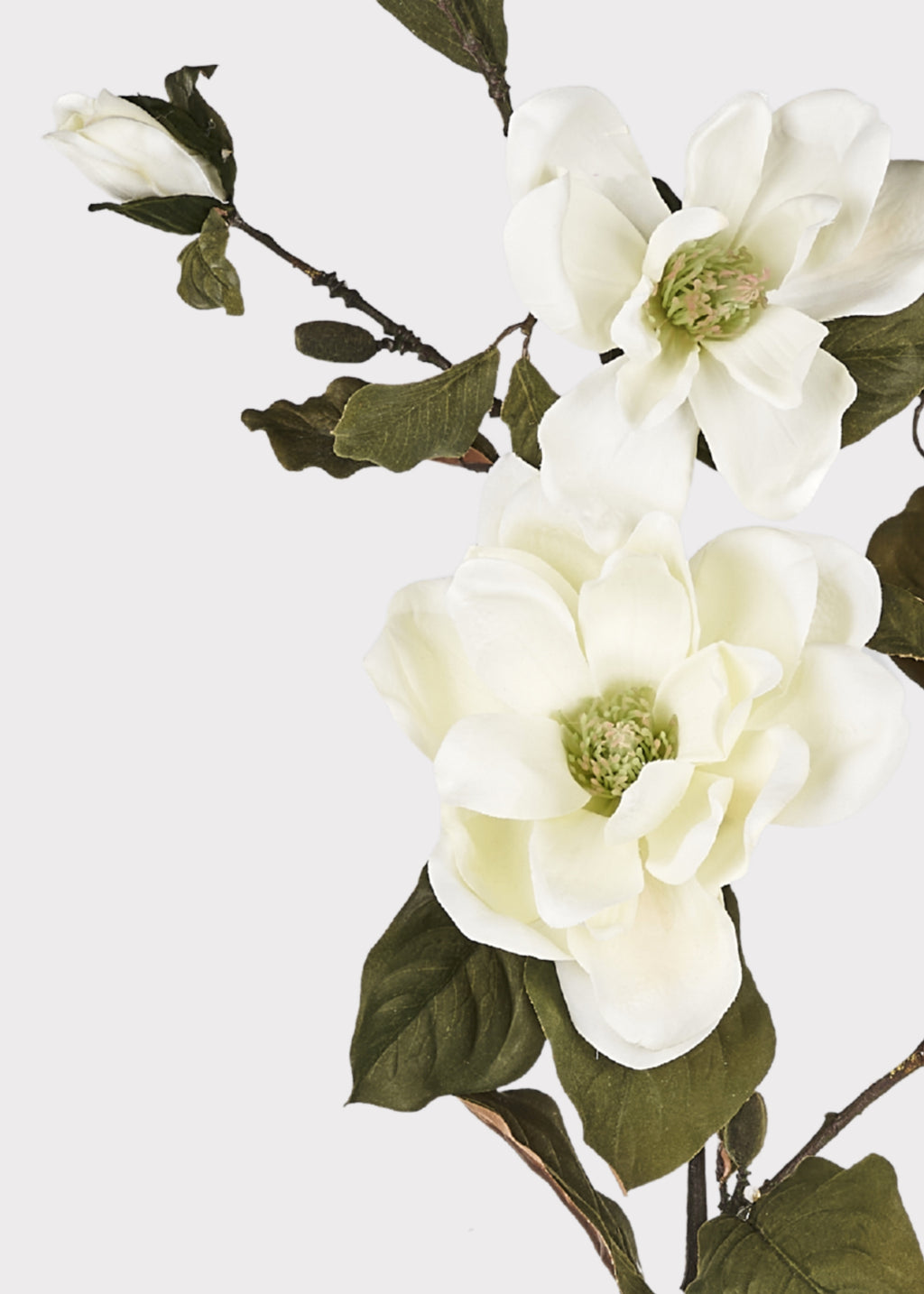 Close-up of Artificial Blooming Magnolia Flowers
