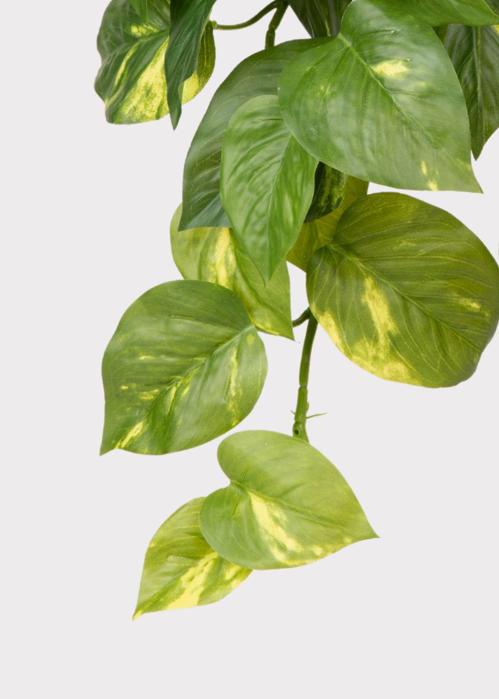 Fake Hanging Pothos Plant