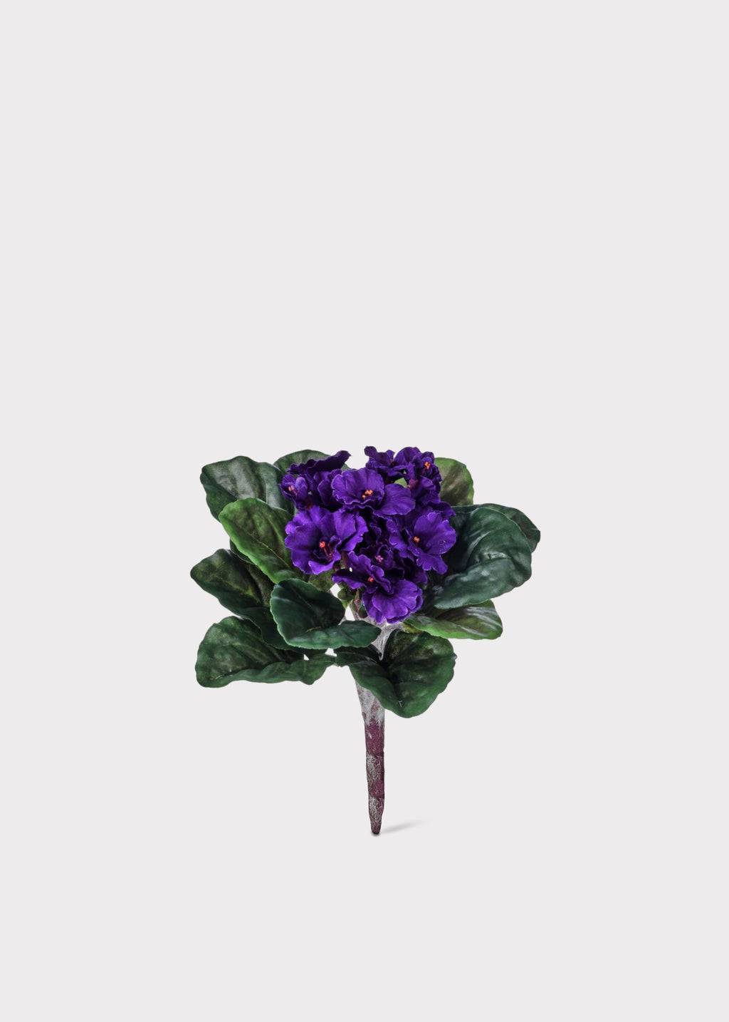 Small African Violet Fake Bush 