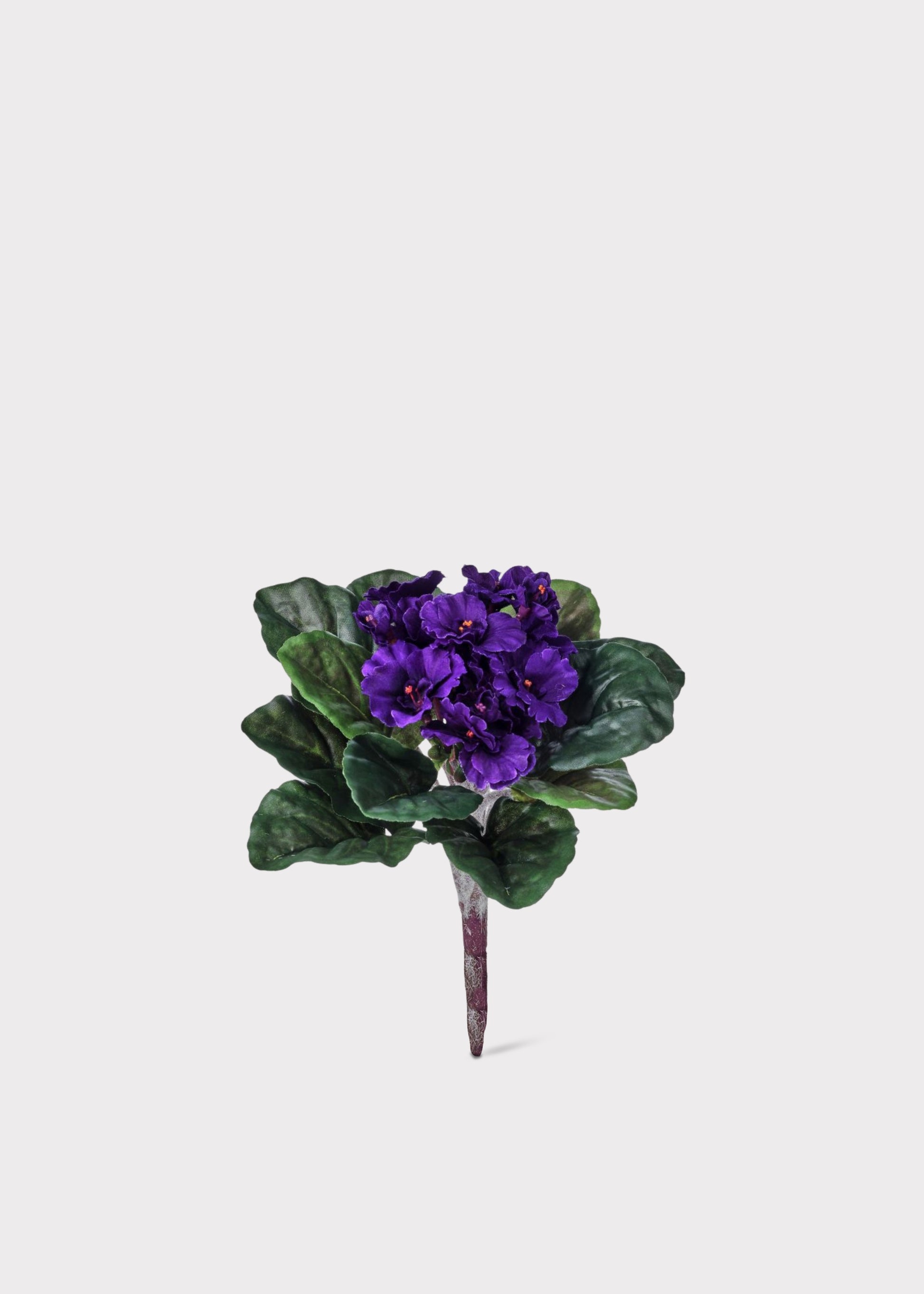 Small African Violet Fake Bush 