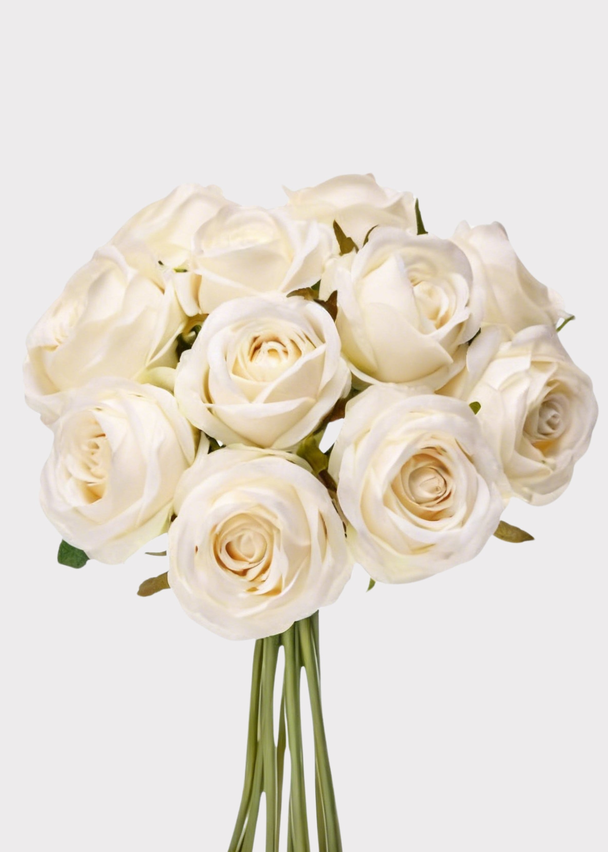 Bundle of Ivory Roses