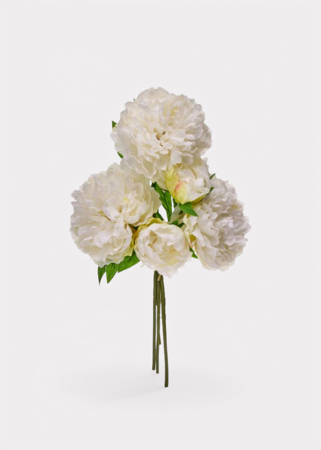 Cream White Peony Bundle