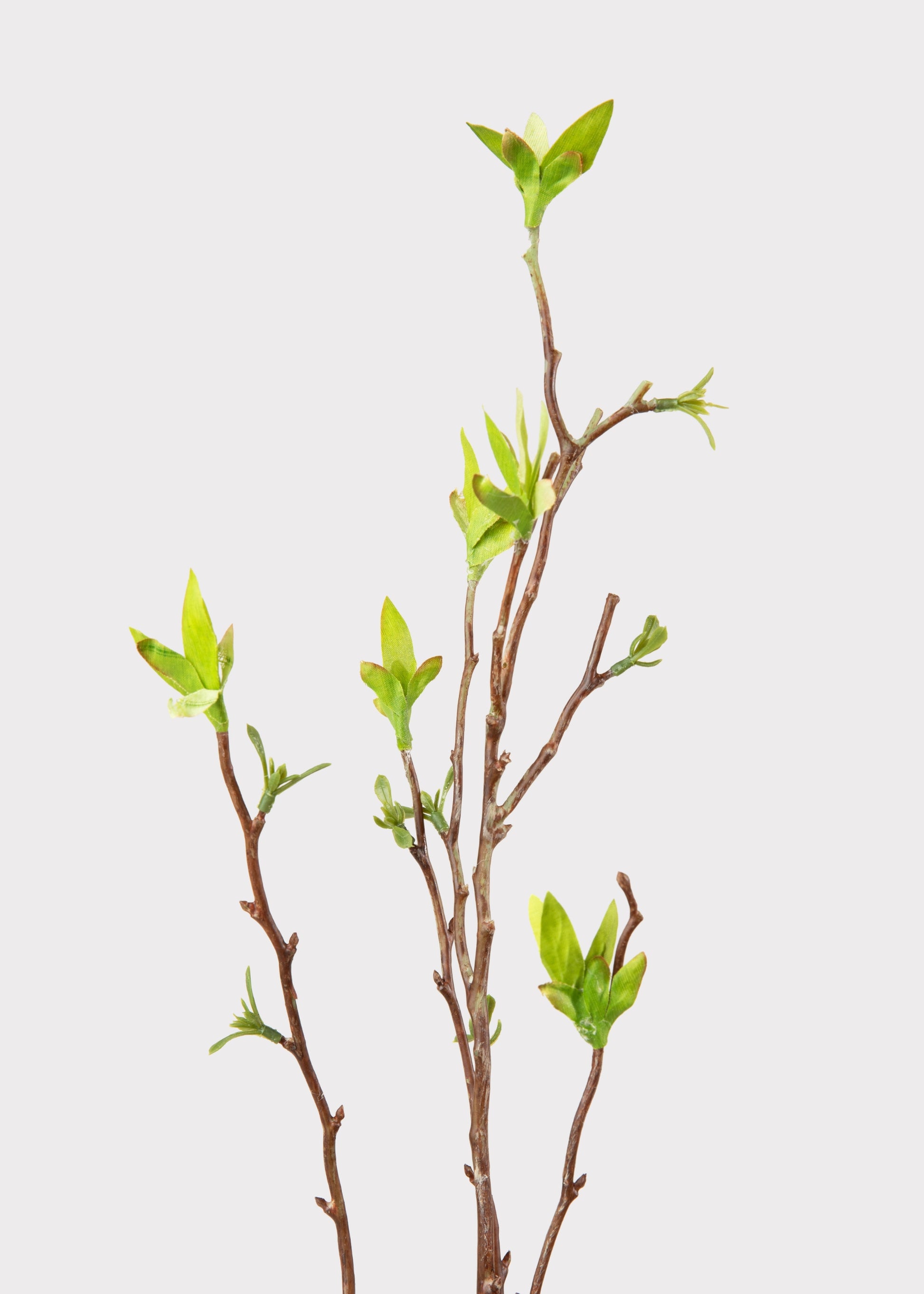 Close-up of Artificial Willow Branch