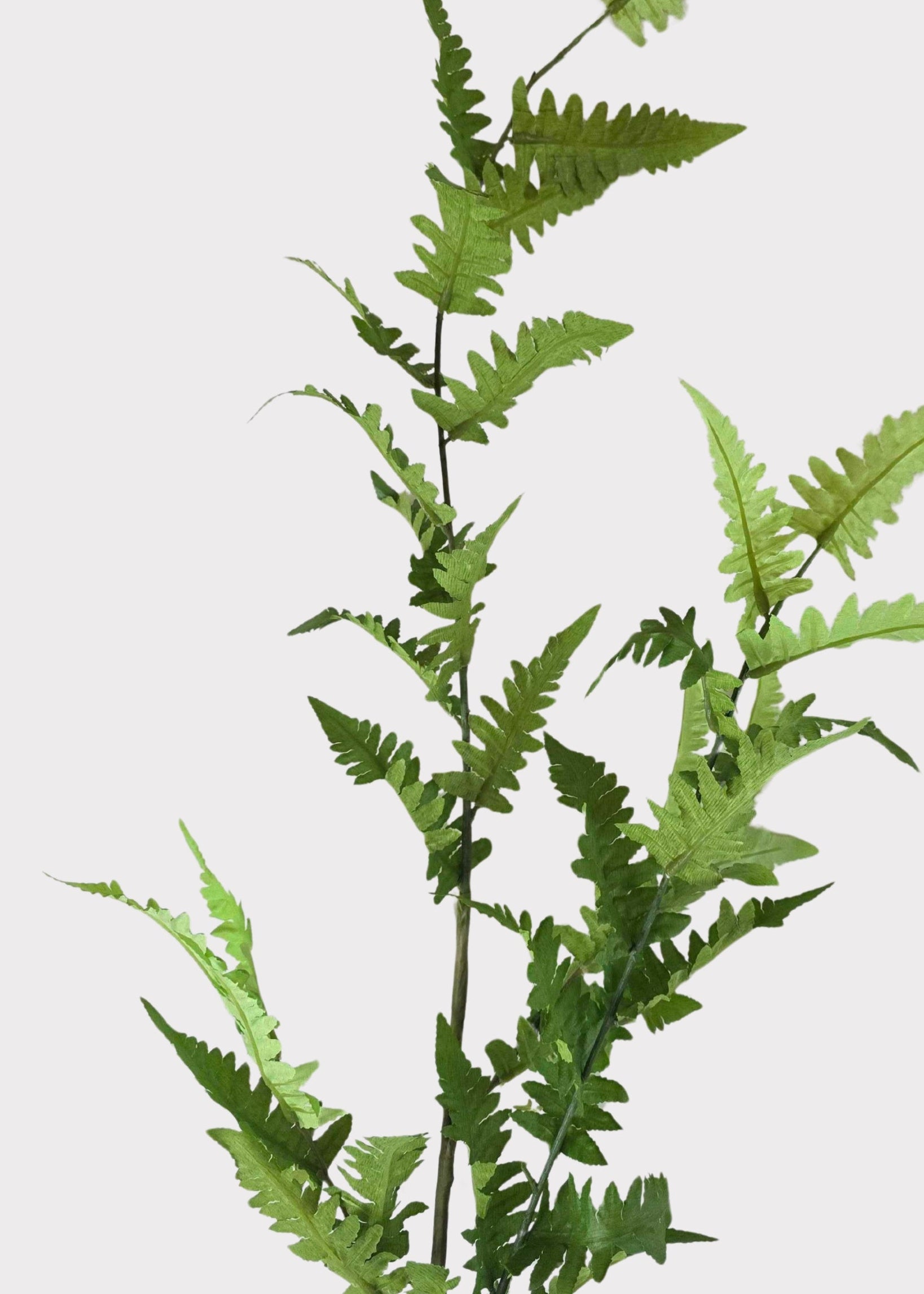 Close-up of artificial fern 