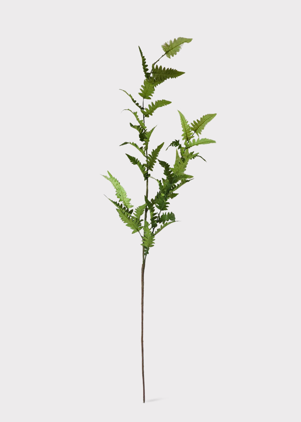 Tall Artificial Wild Fern Leaf Greenery Branch 