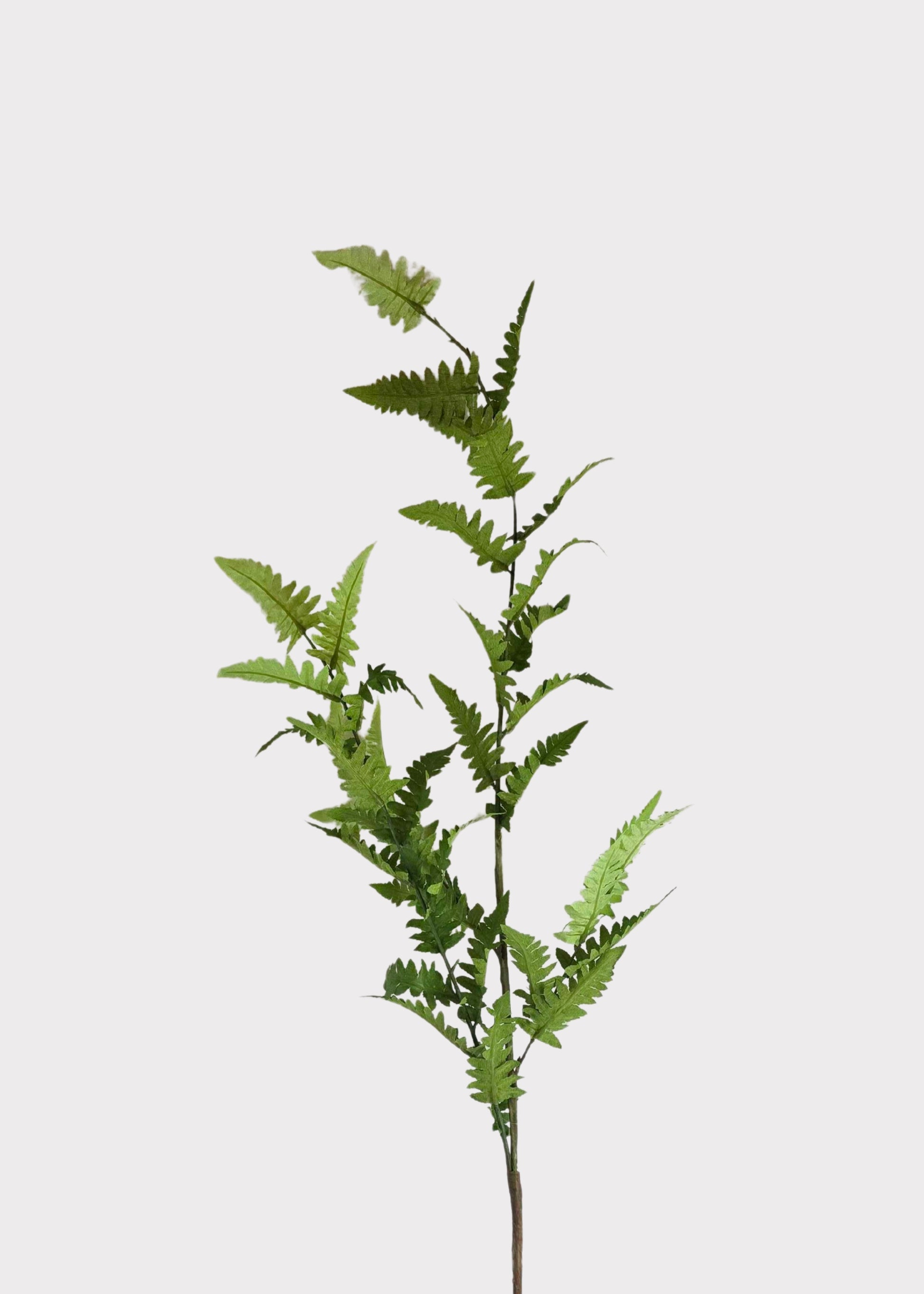 Faux Fern Branch 