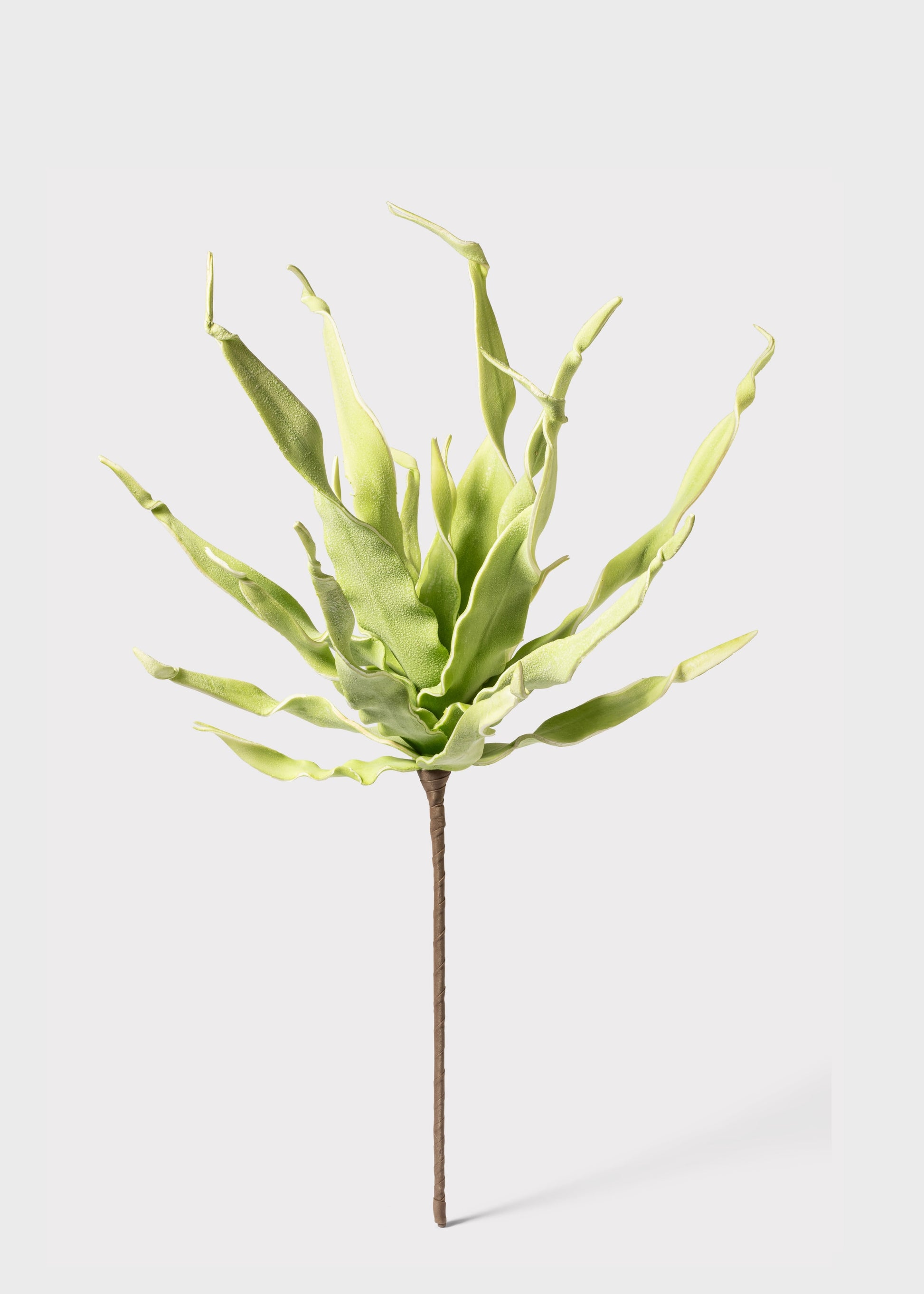 Artificial Spiral Dracaena Succulent 