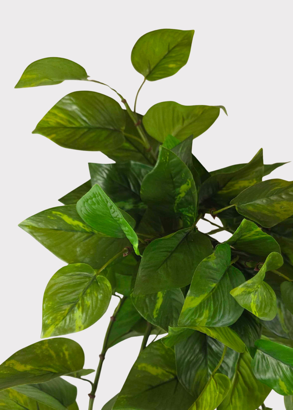 pothos nature Outdoor Hanging Pothos Plant | UV Treated Artificial Plants