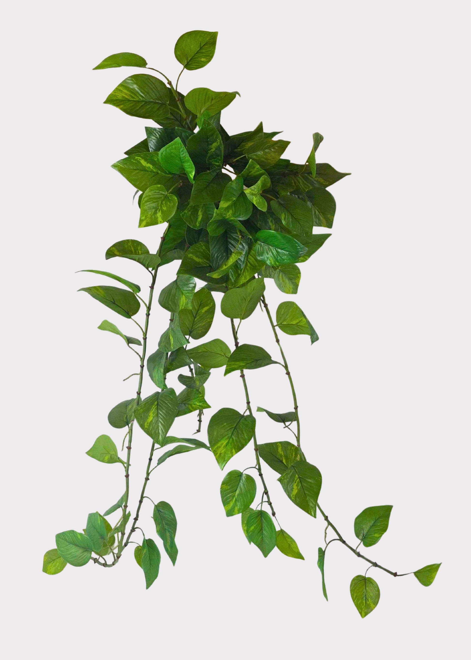 pothos in nature Outdoor Hanging Pothos Plant | UV Treated Artificial Plants