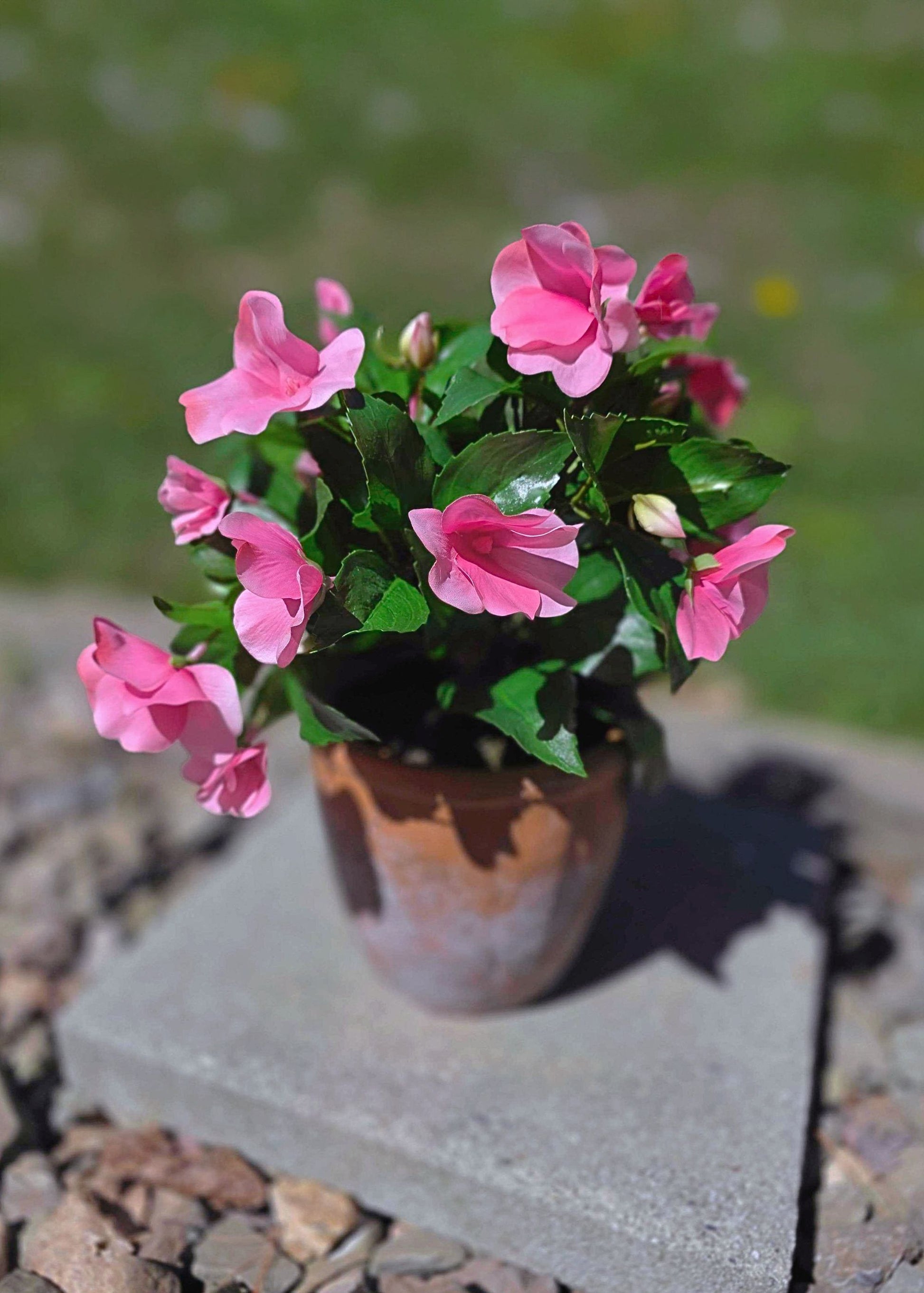 plant pot pink Artificial Impatiens Plant in Clay Pot by REGENCY INTERNATIONAL, 12"