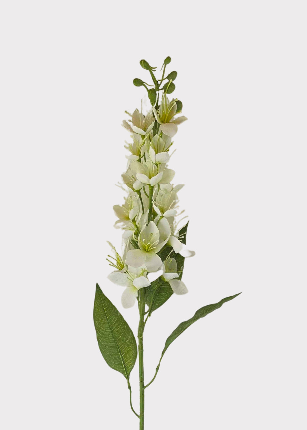 Honey Blossom Stem