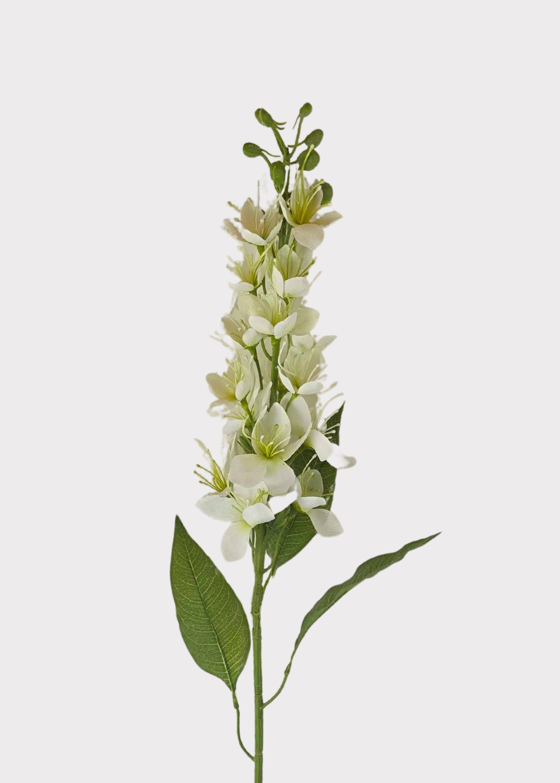 Honey Blossom Stem