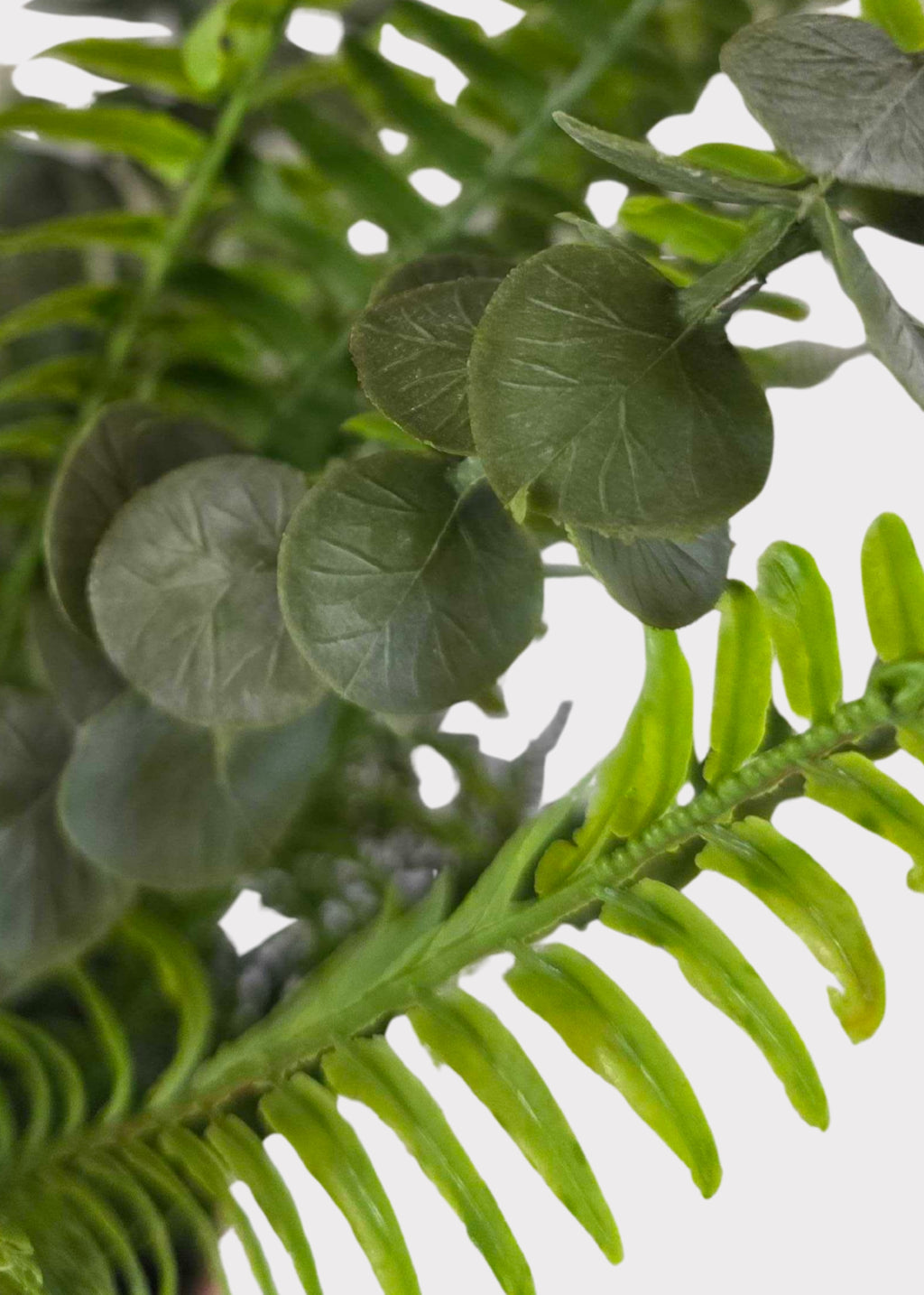 Close-up of artificial eucalyptus and ferns