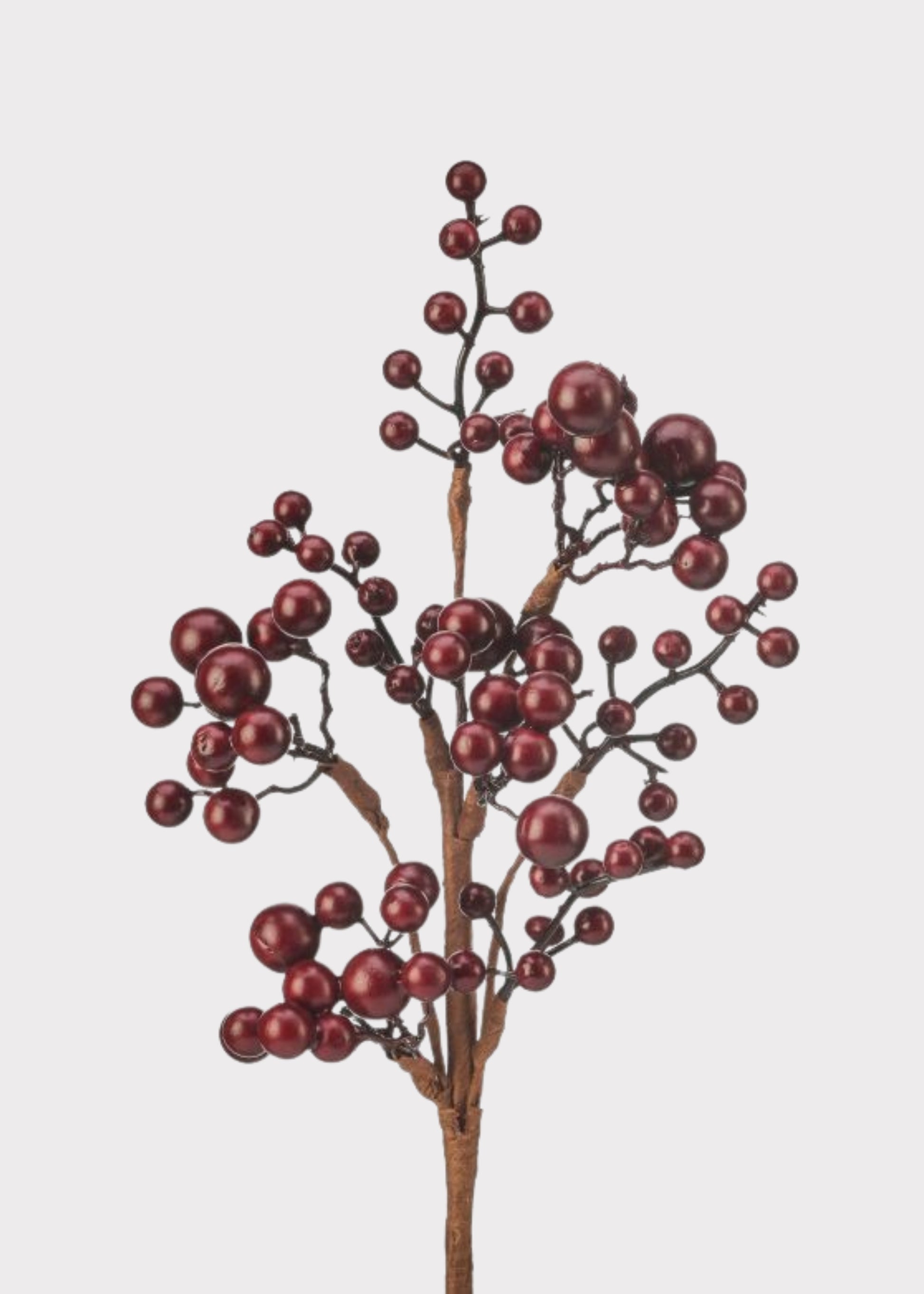 Berry Pick in Burgundy