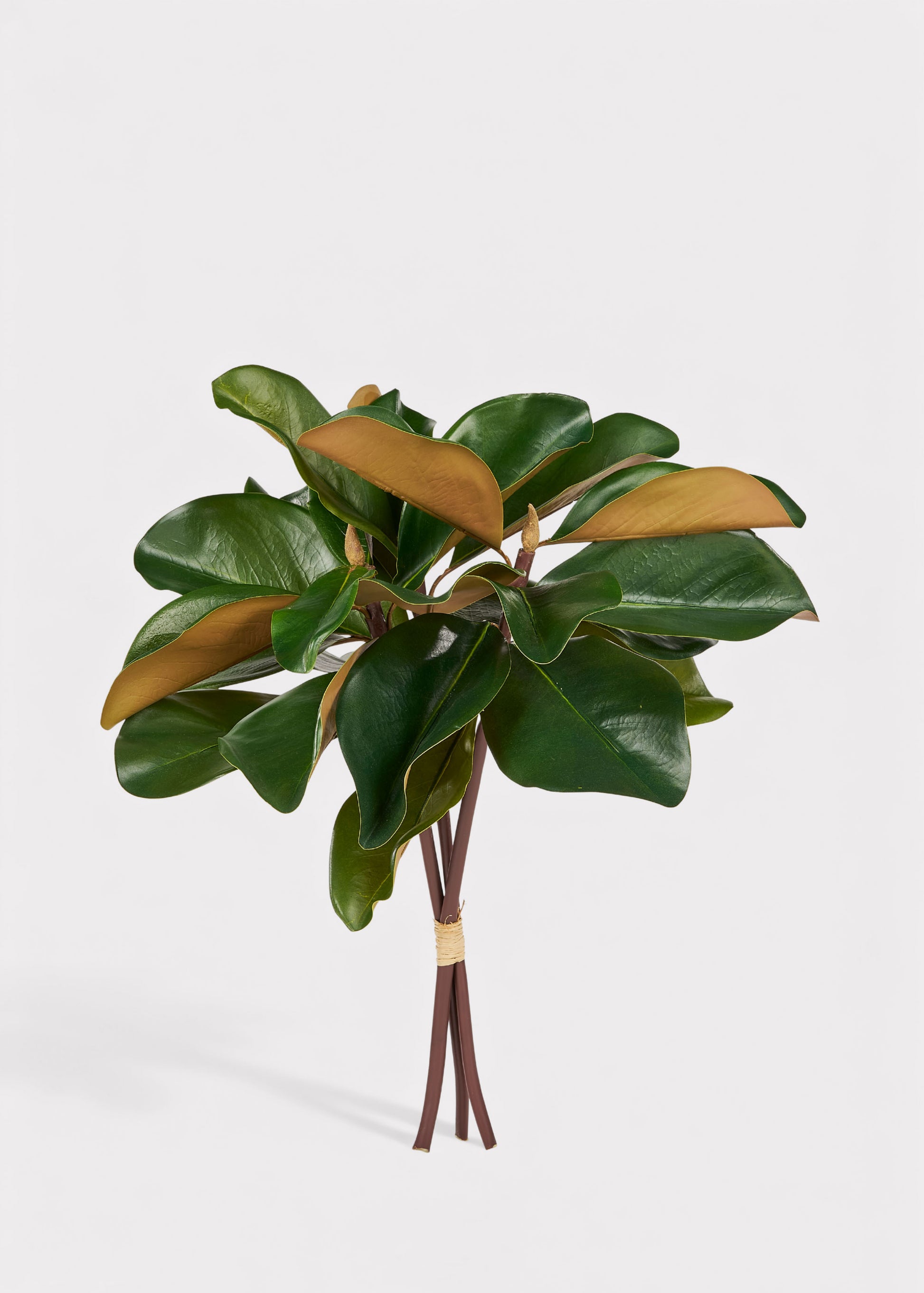 Artificial Magnolia 3-Stem Bundle 
