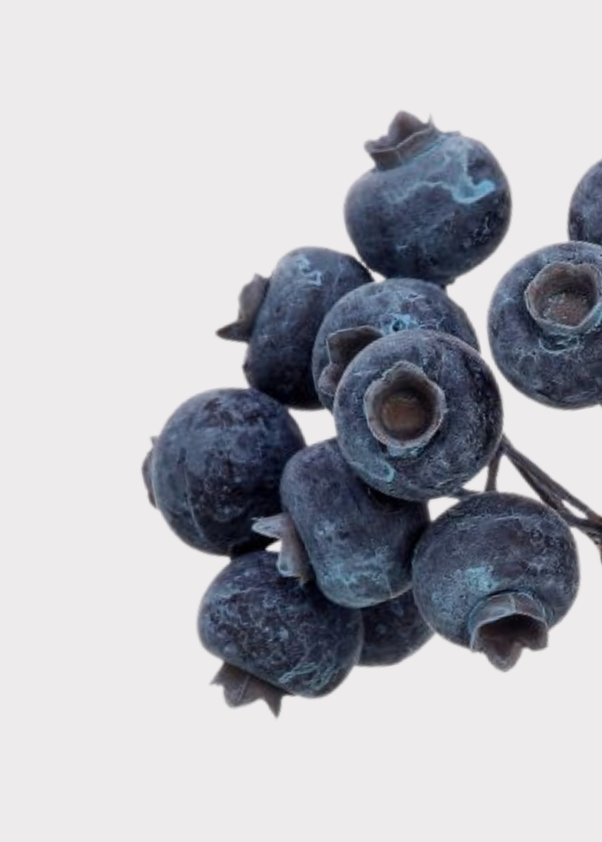 Close-up of Artificial Blue Berry Pick