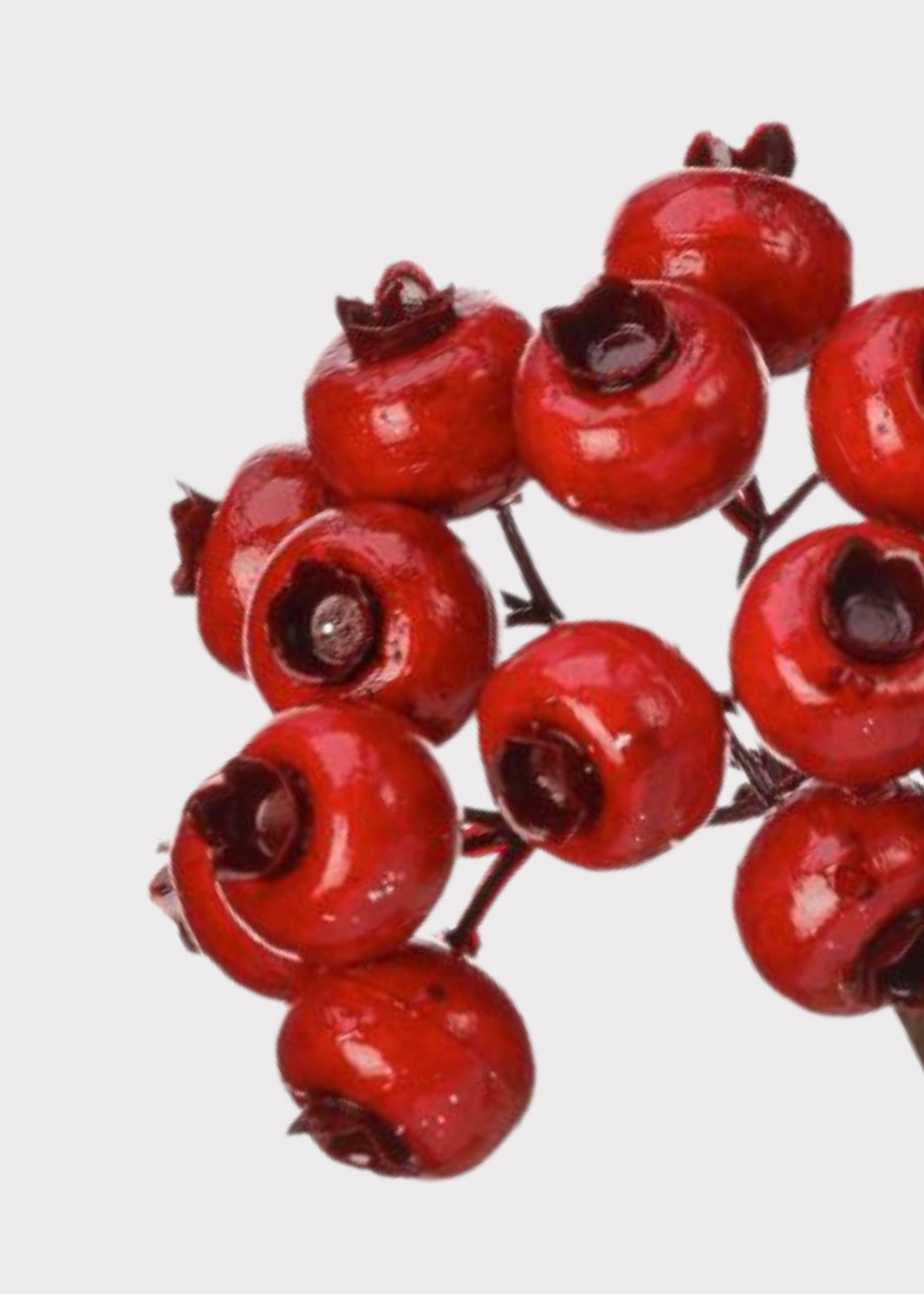 Close-up of Artificial Red Berry Pick 