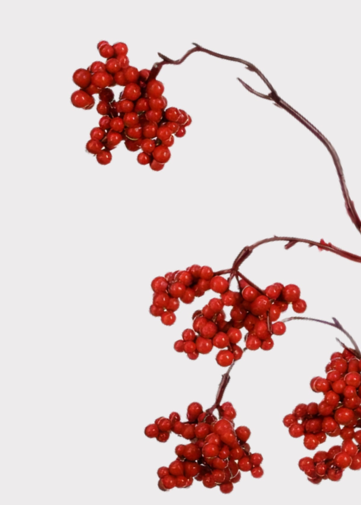 Close-up of Fake Red Berry Branch