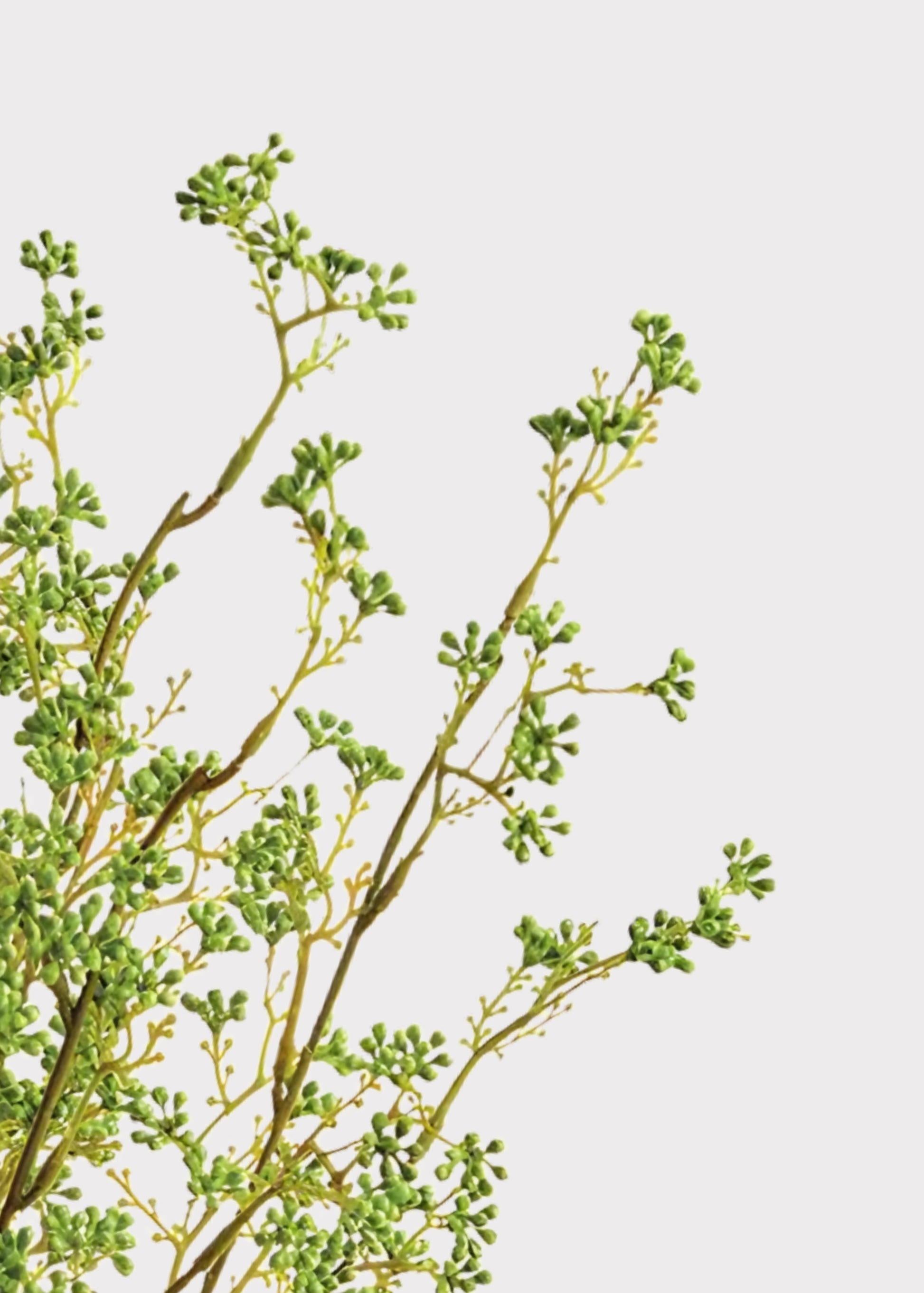Close-up of Green artificial berry cluster 