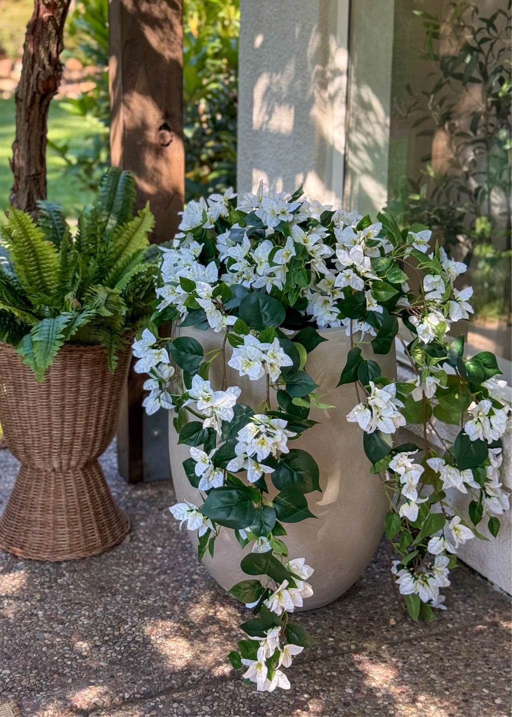Fake Ferns and bougainvillea