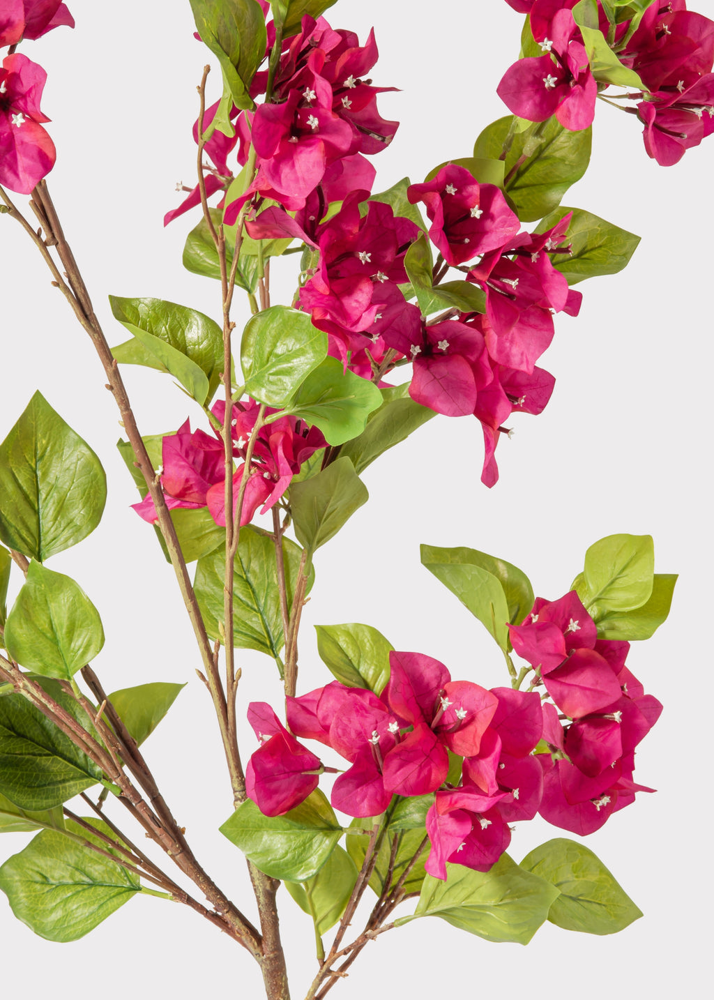 Close-up of pink artificial bougainvillea flowers