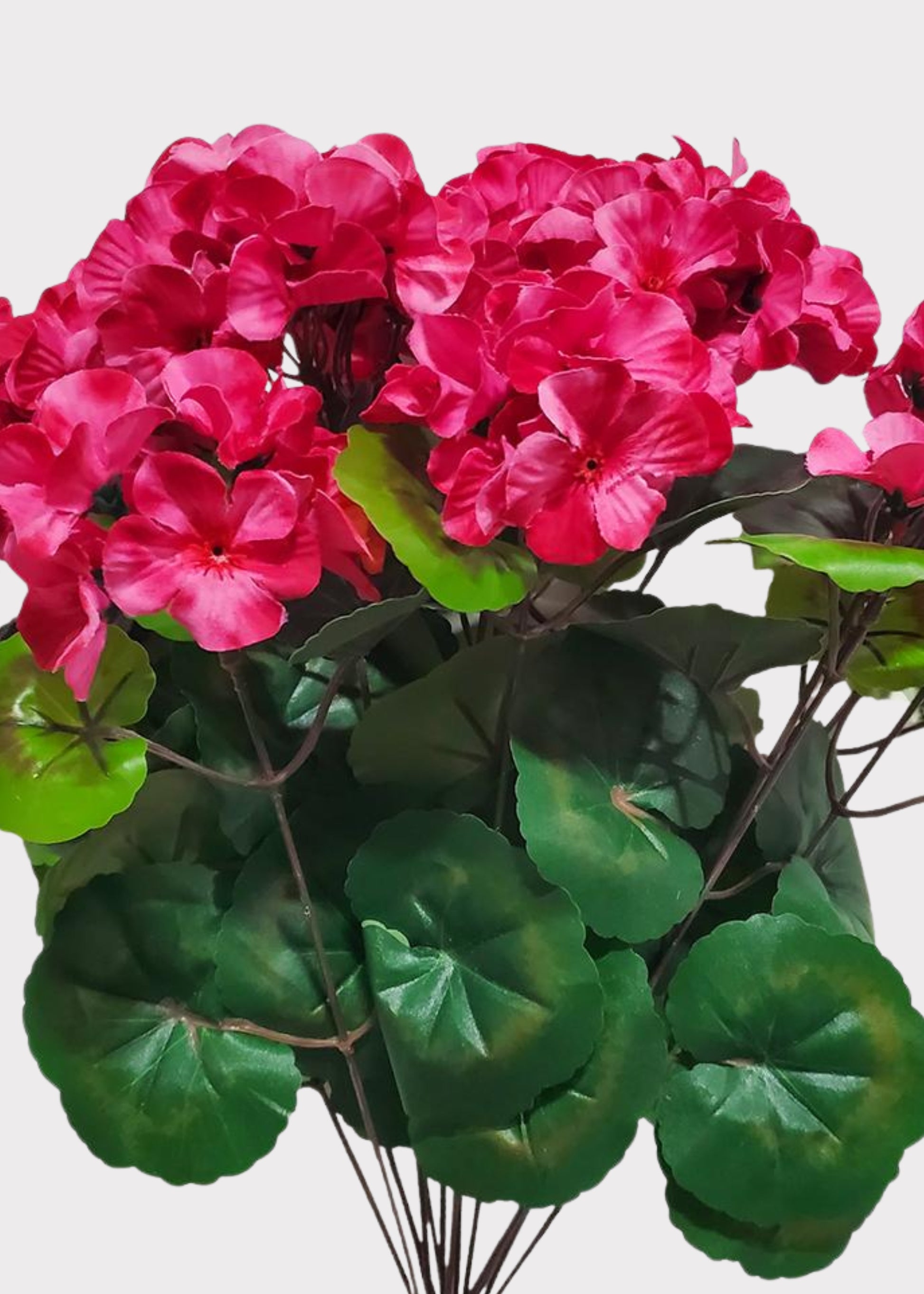 artificial geranium in beauty pink
