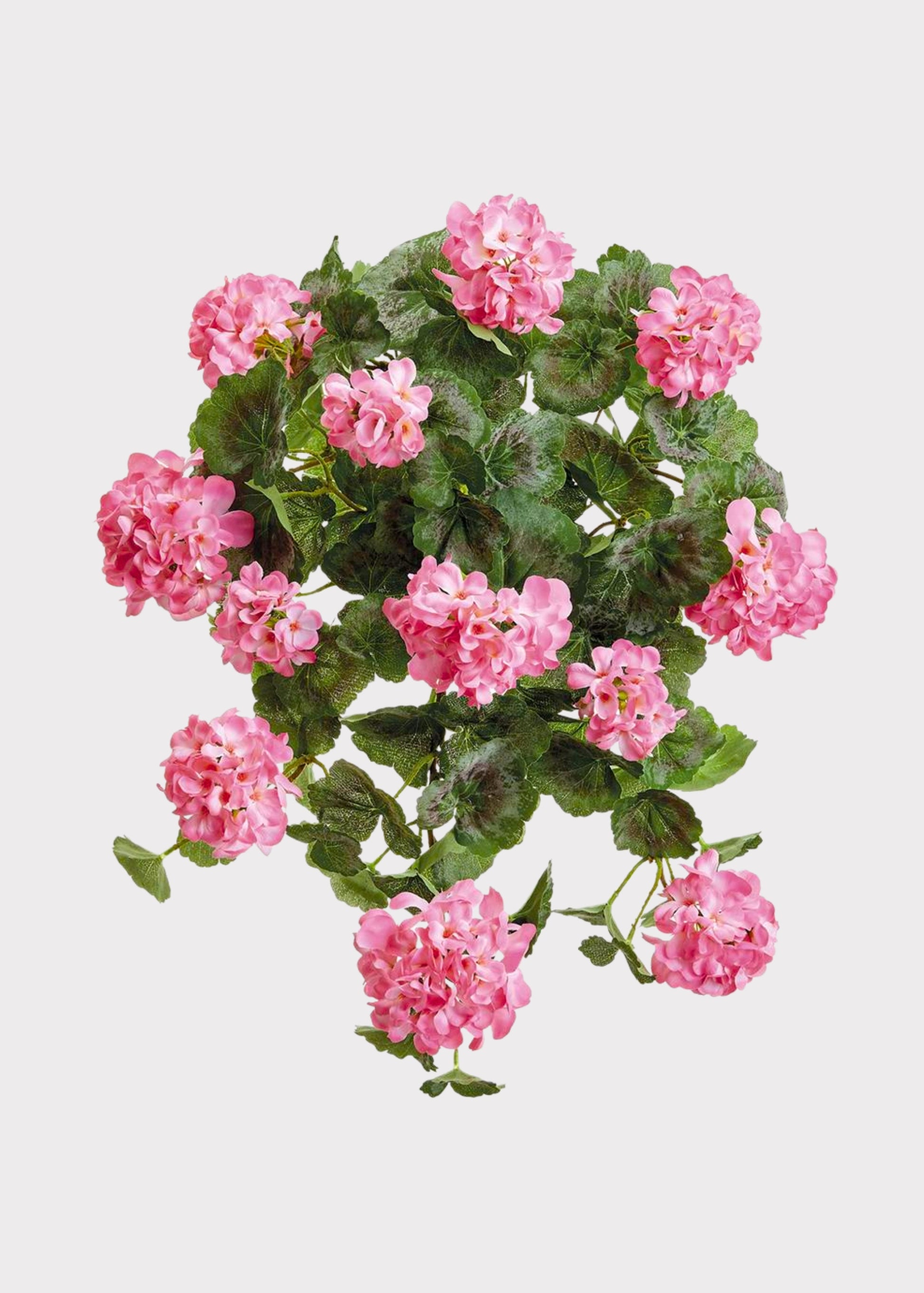 Pink Hanging Fake Geranium