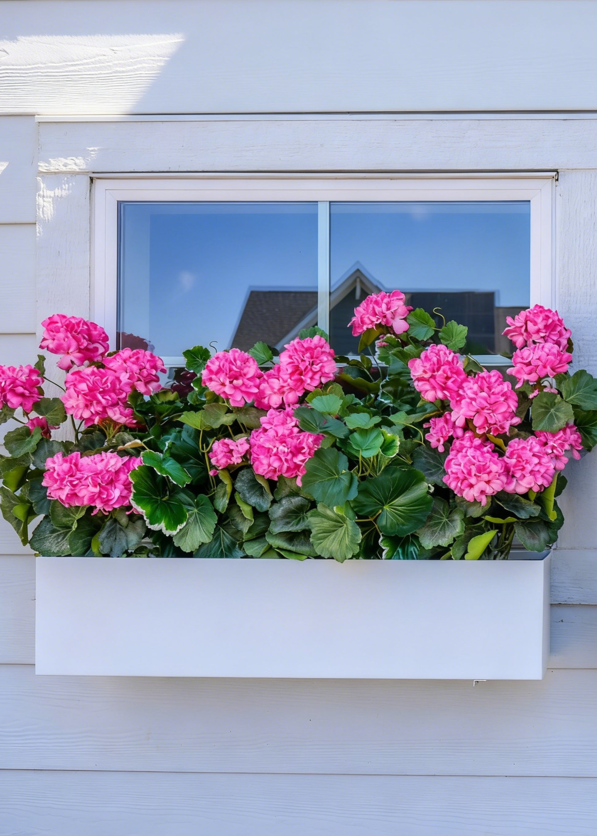 artificial pink geraniums in a window box