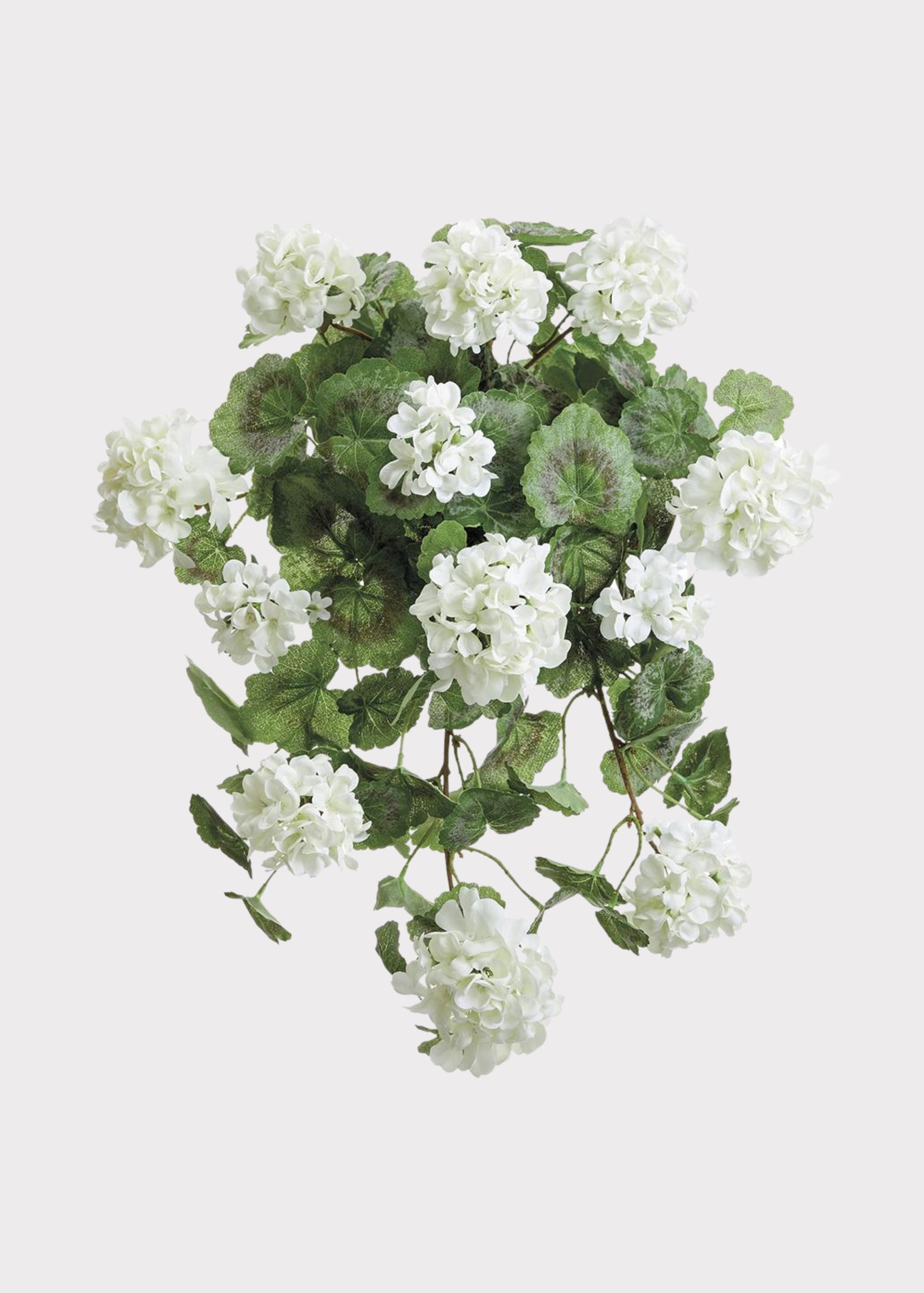 White Fake Hanging Geranium