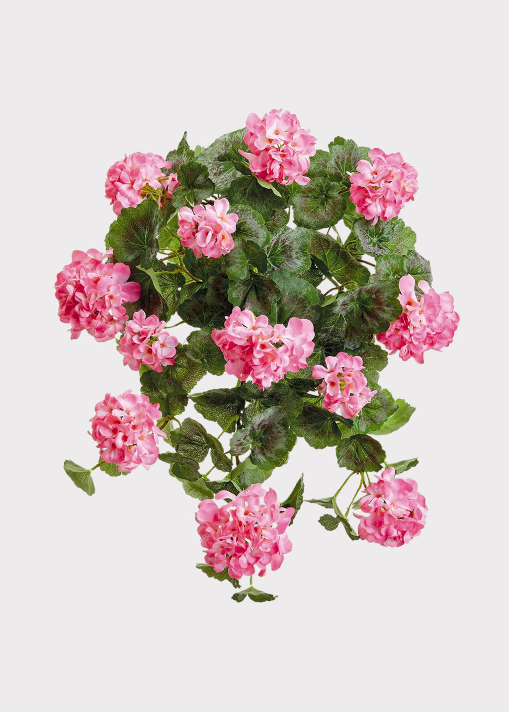 Pink Hanging Fake Geranium