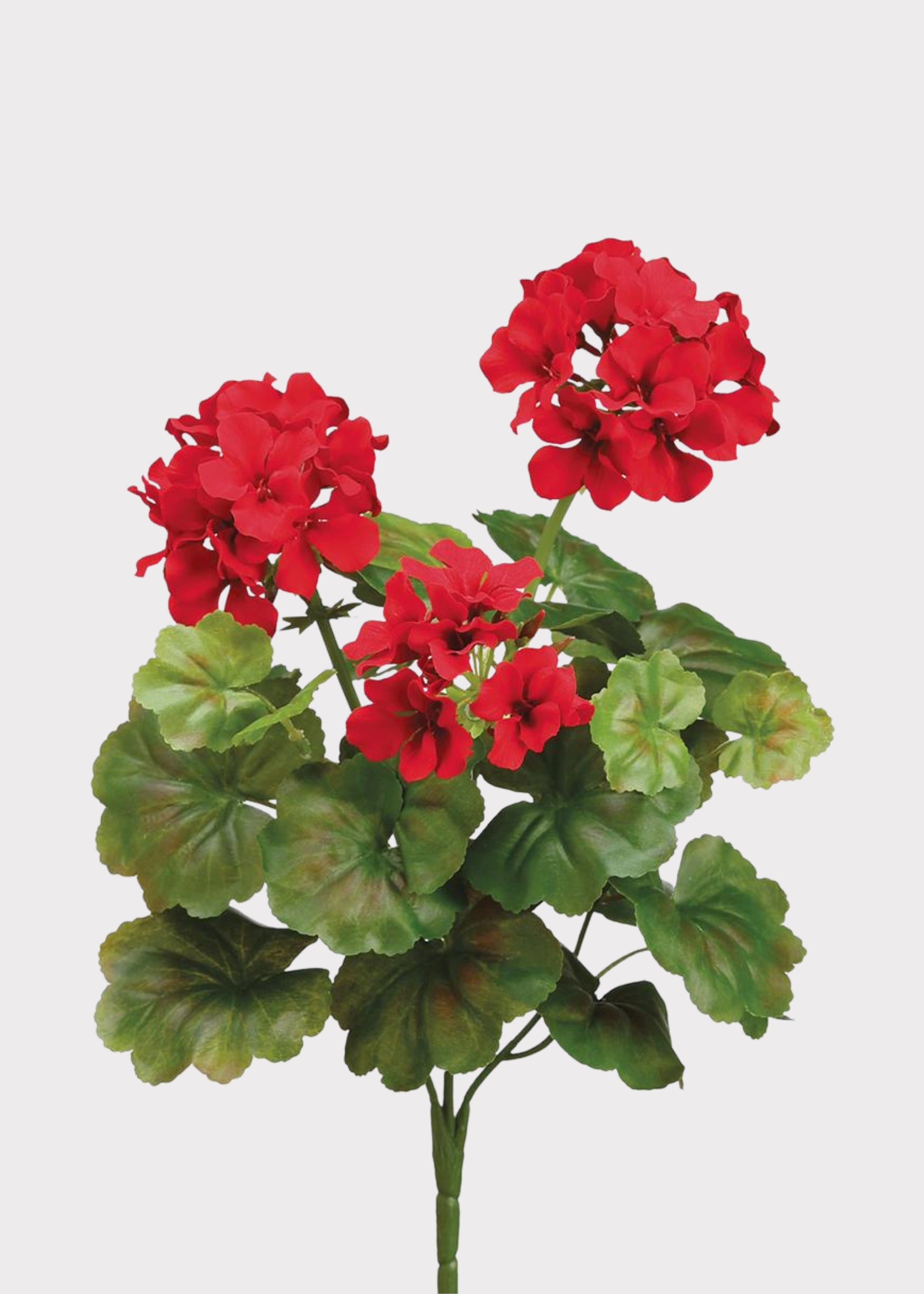 Fake Geraniums in Red