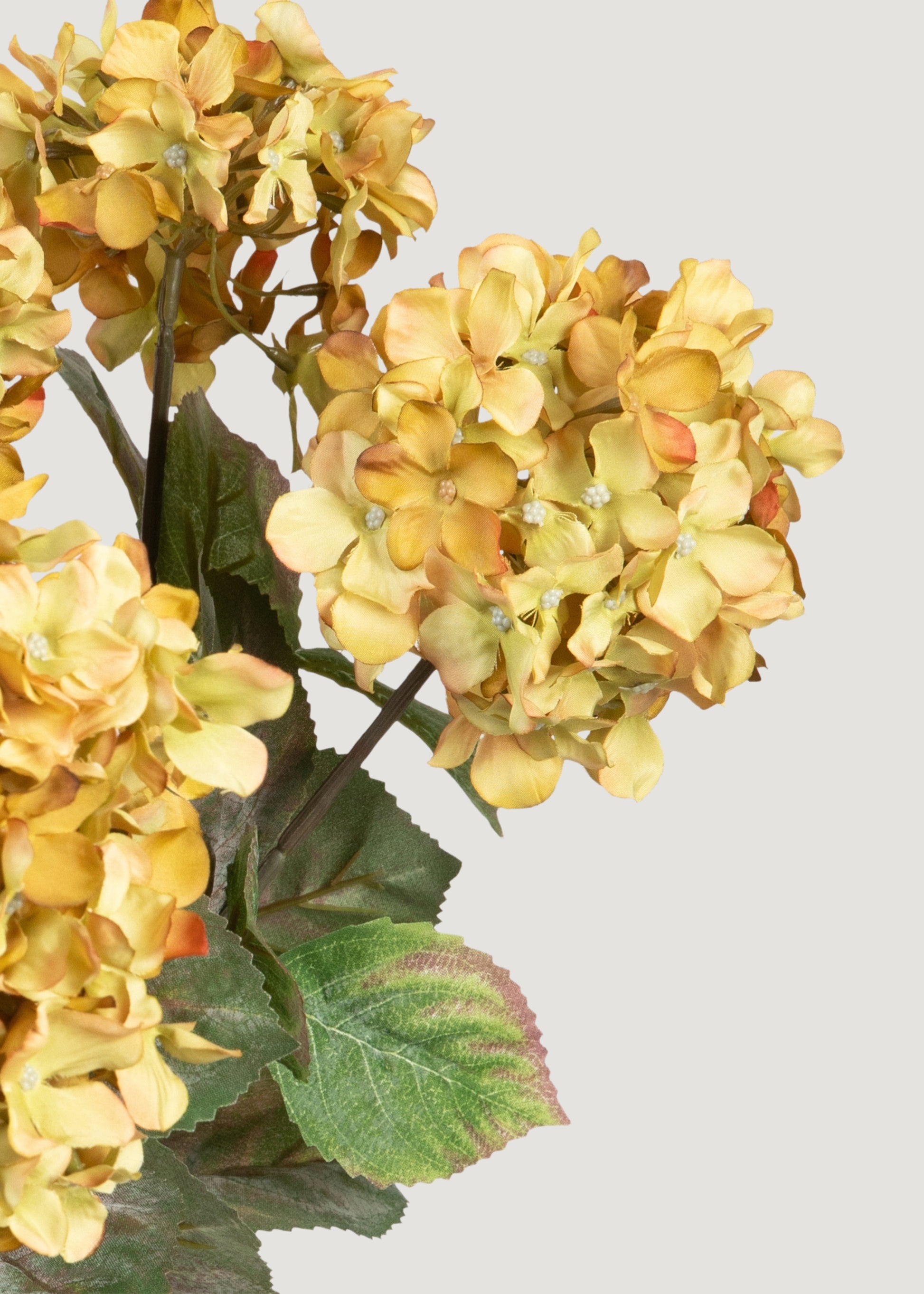 Faux Hydrangeas in Antique Green