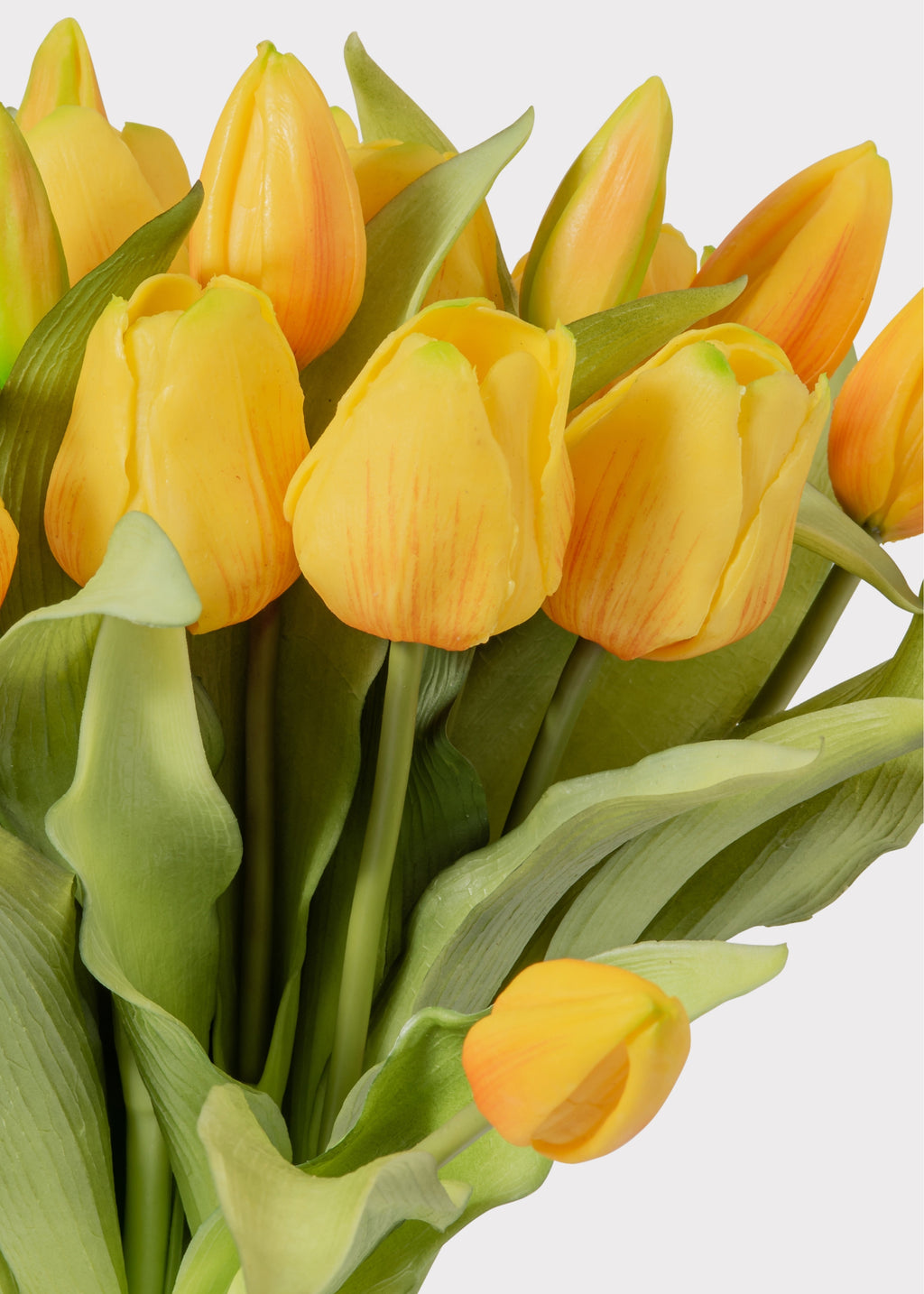 Close-up of a Yellow Tulip Bouquet