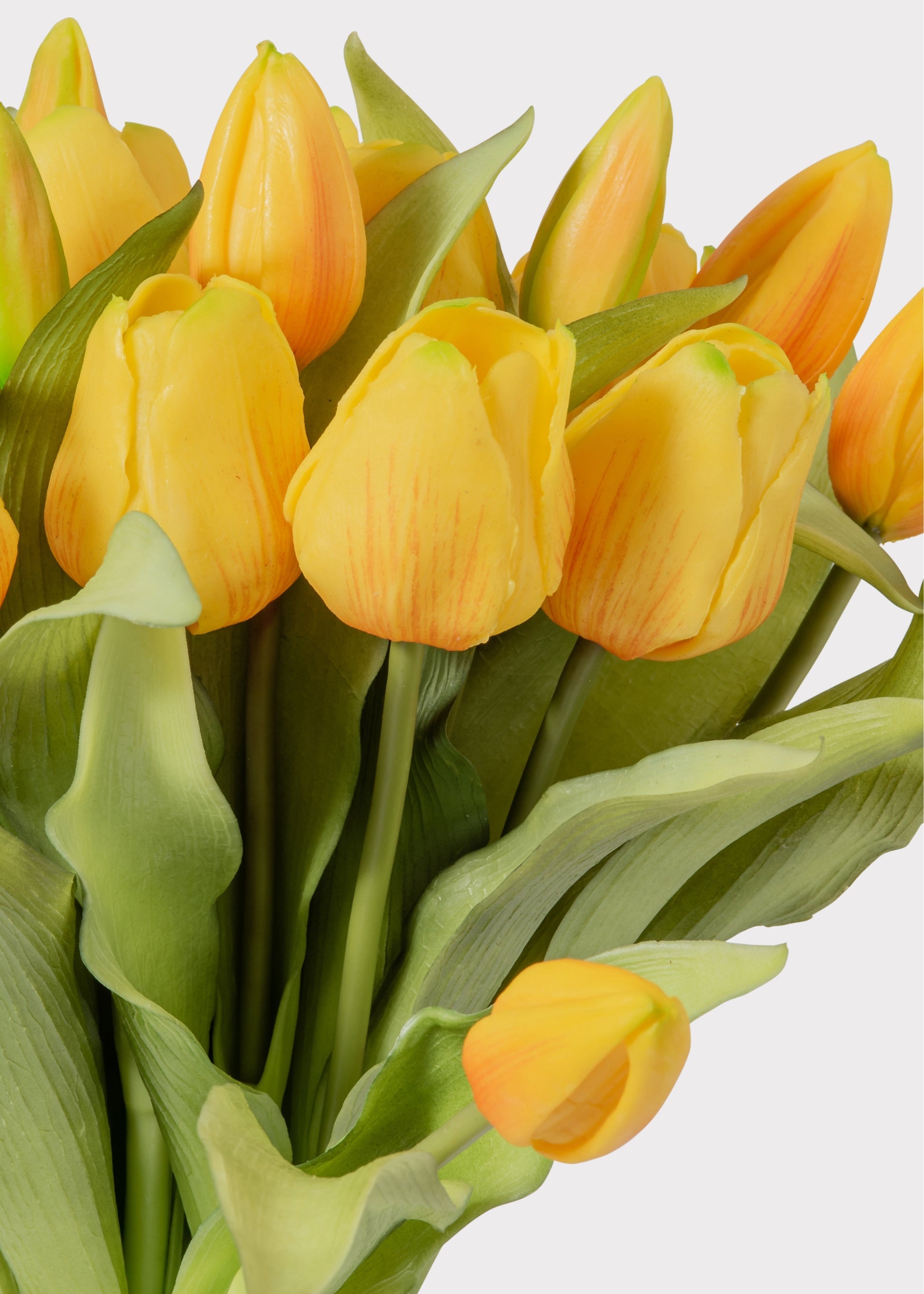 Close-up of a Yellow Tulip Bouquet