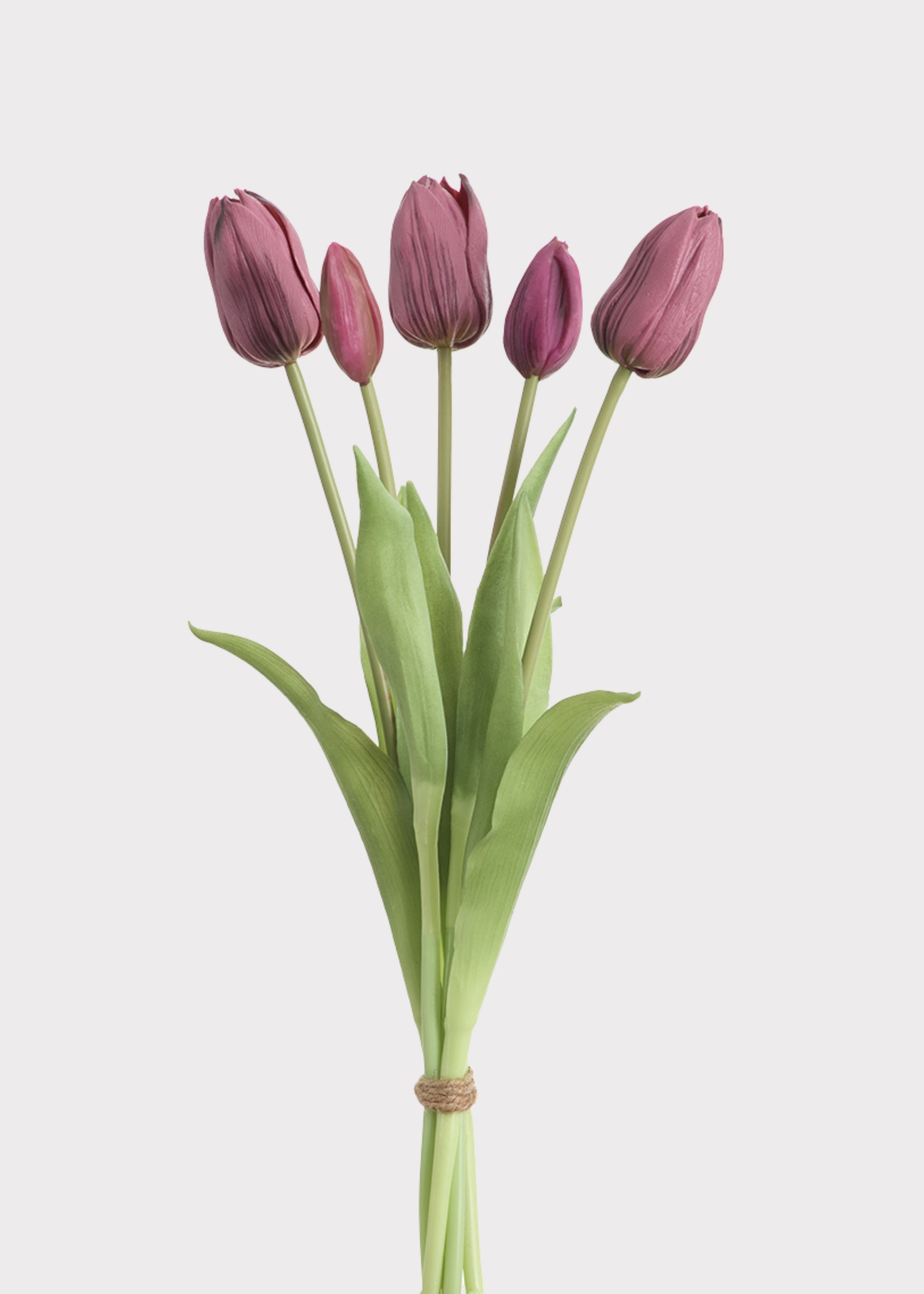 Plum Purple Dutch Tulip Flower Bundle