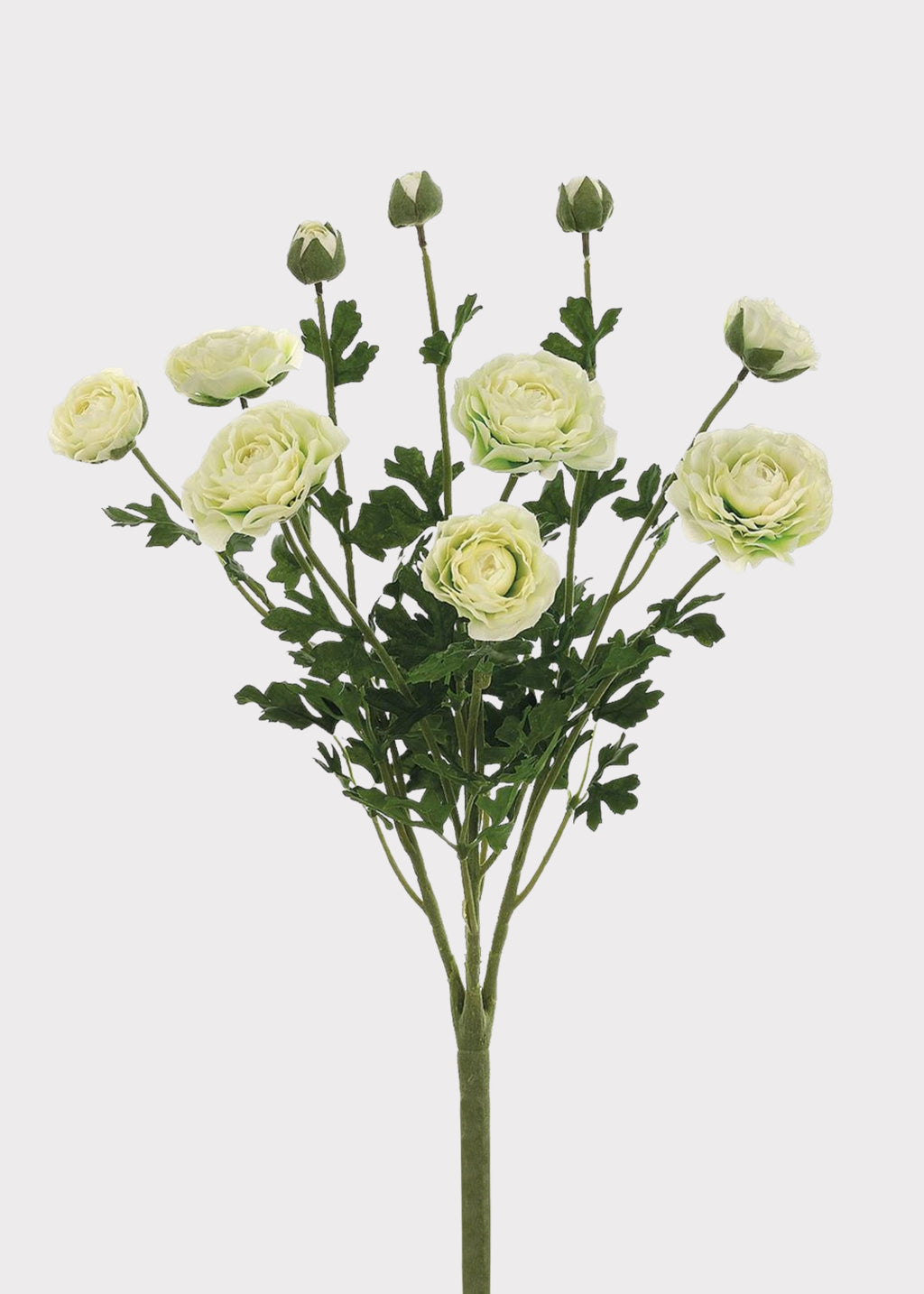 Faux Ranunculus Flower Bush in Cream 
