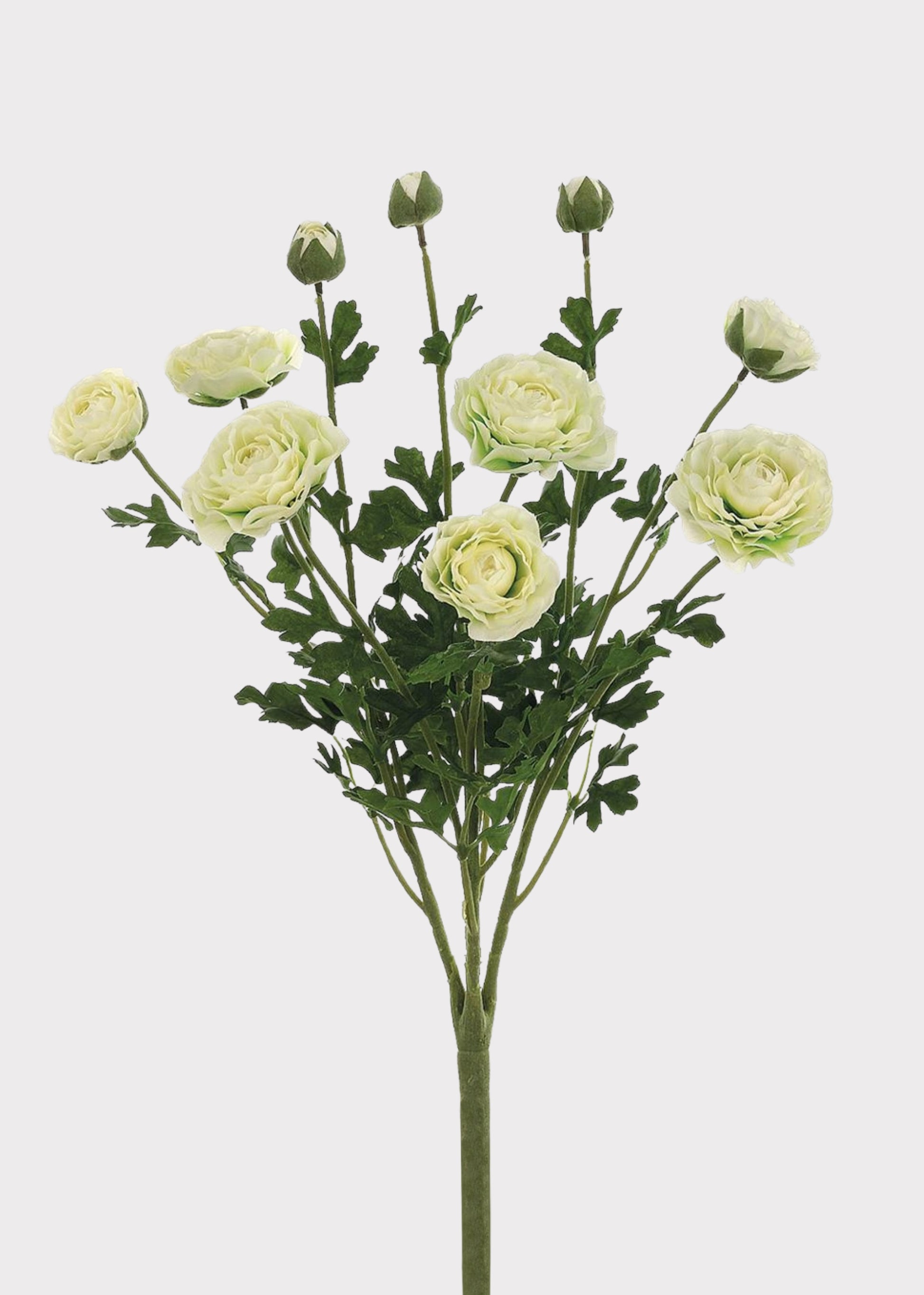 Faux Ranunculus Flower Bush in Cream 