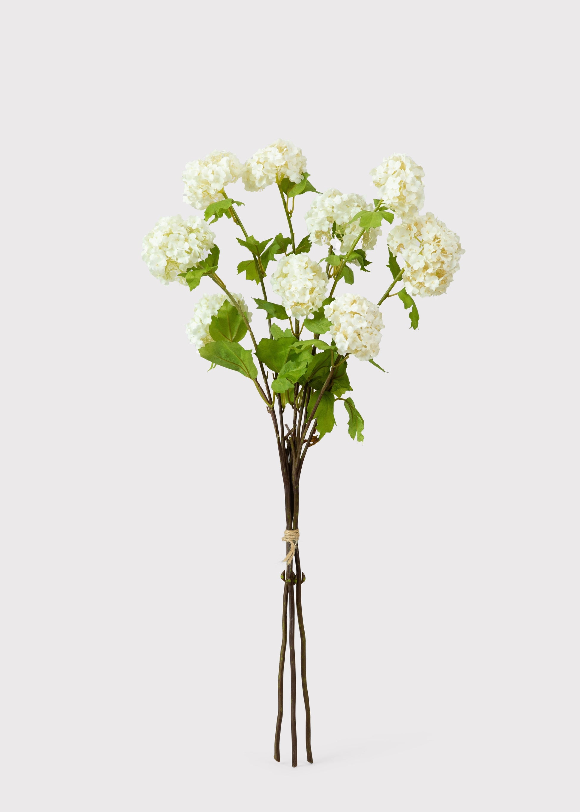 Snowball Flower Bundle