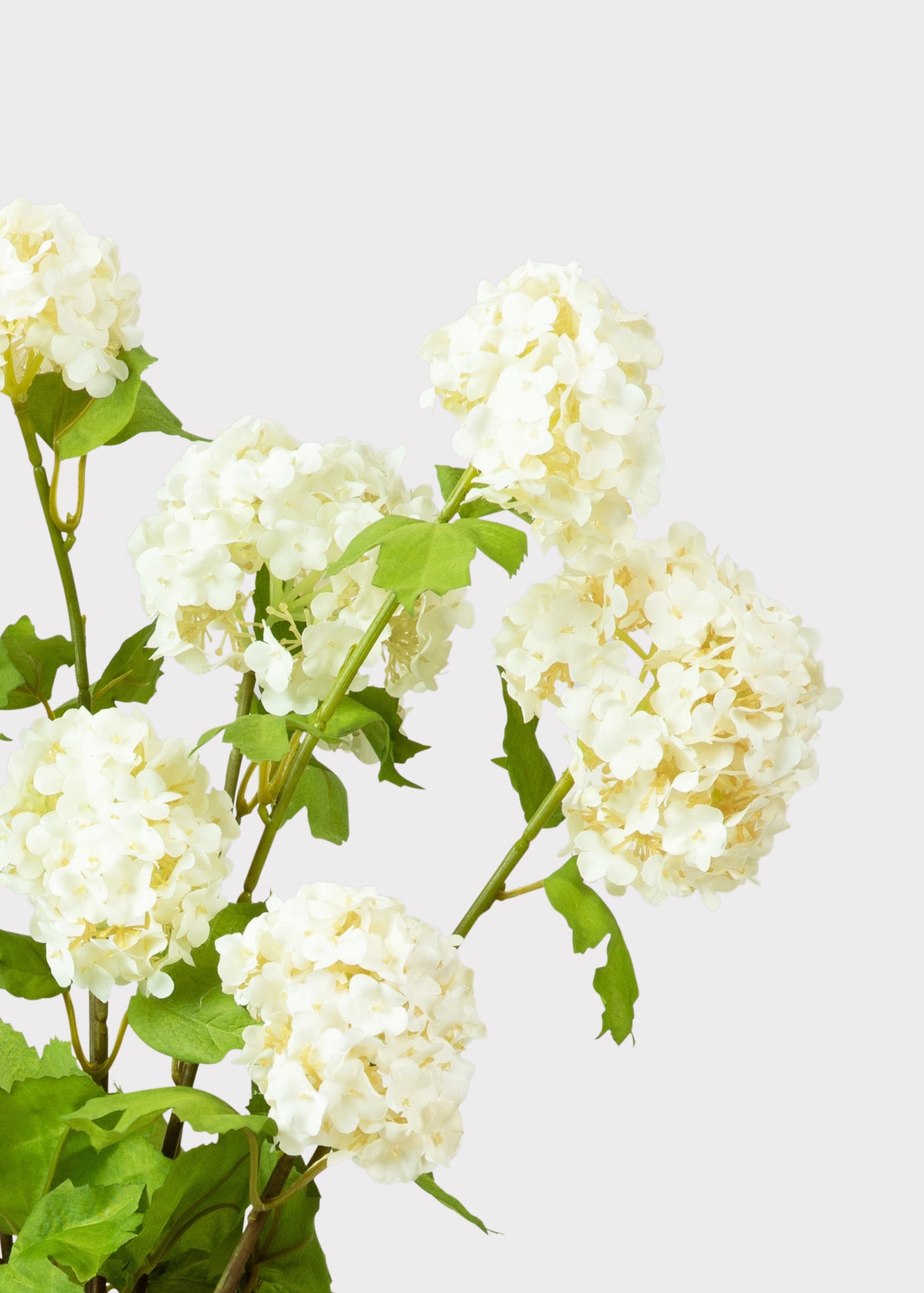 Faux White Snowballs