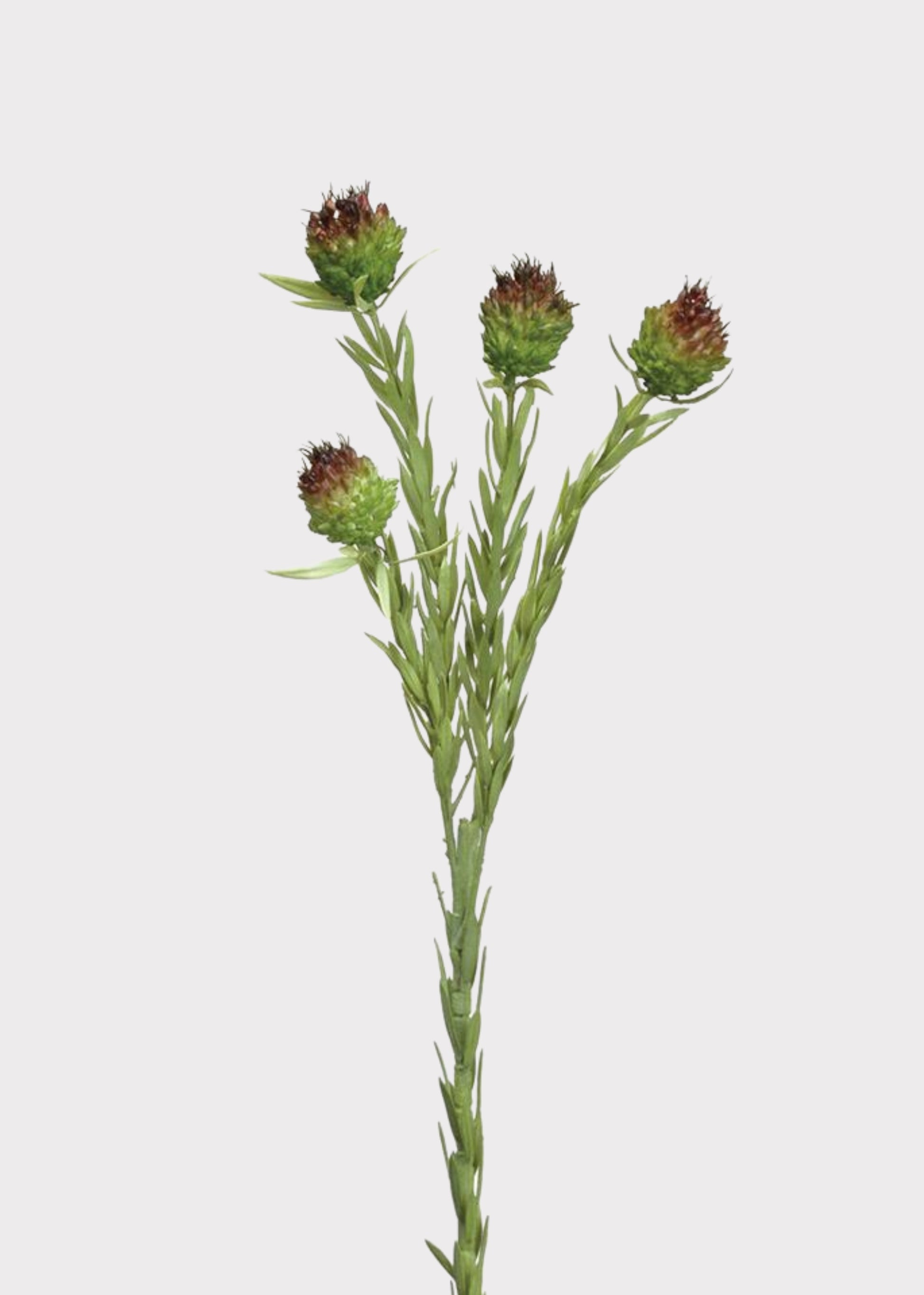 Earth Brown and Green Mini Artificial Allium Bud Wildflower Spray